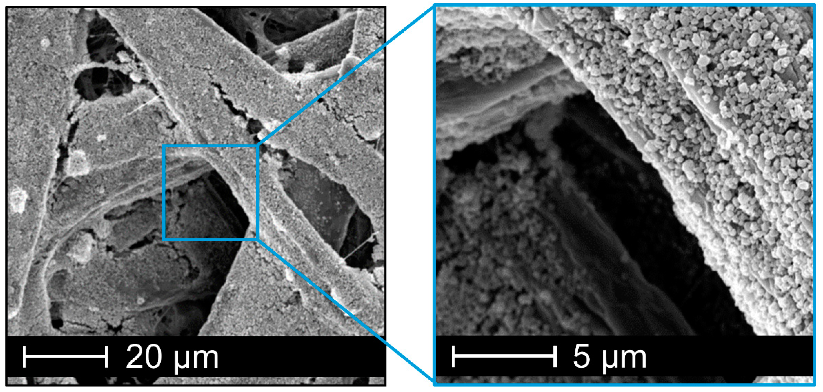 Nanomaterials 10 02447 g008 Nanomaterials 10 02447 g008