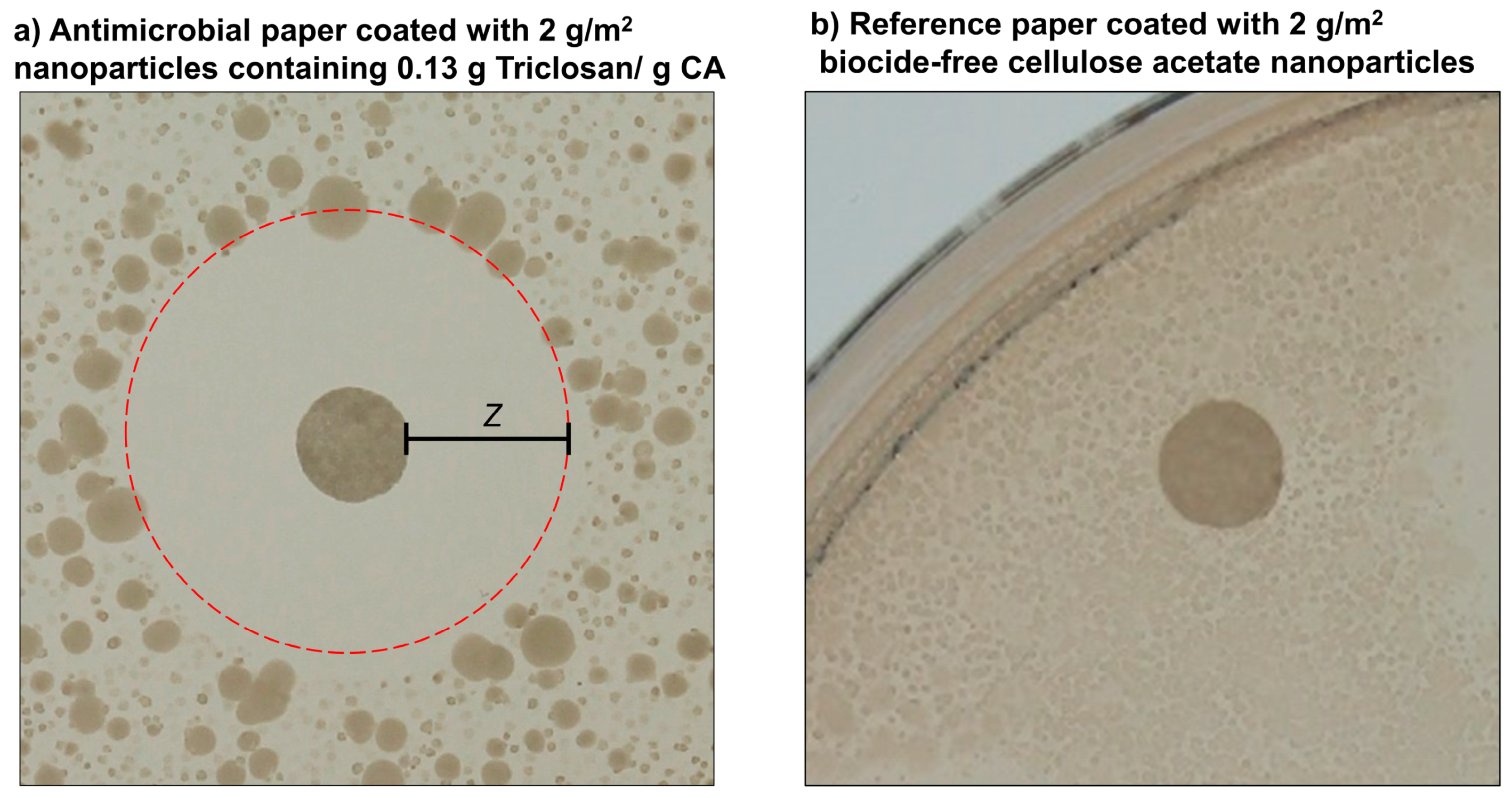 Nanomaterials 10 02447 g009 Nanomaterials 10 02447 g009