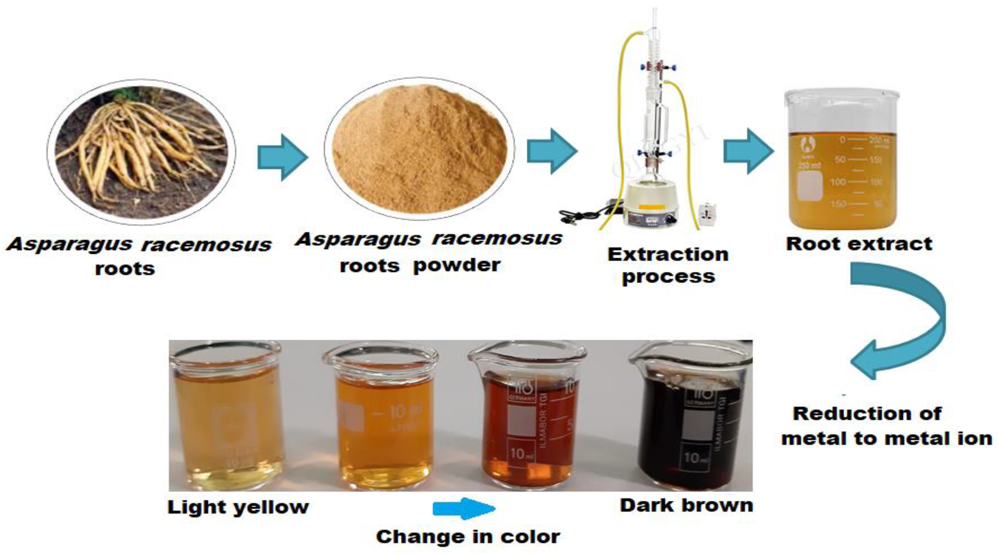 Nanomaterials 10 02453 g001 Nanomaterials 10 02453 g001