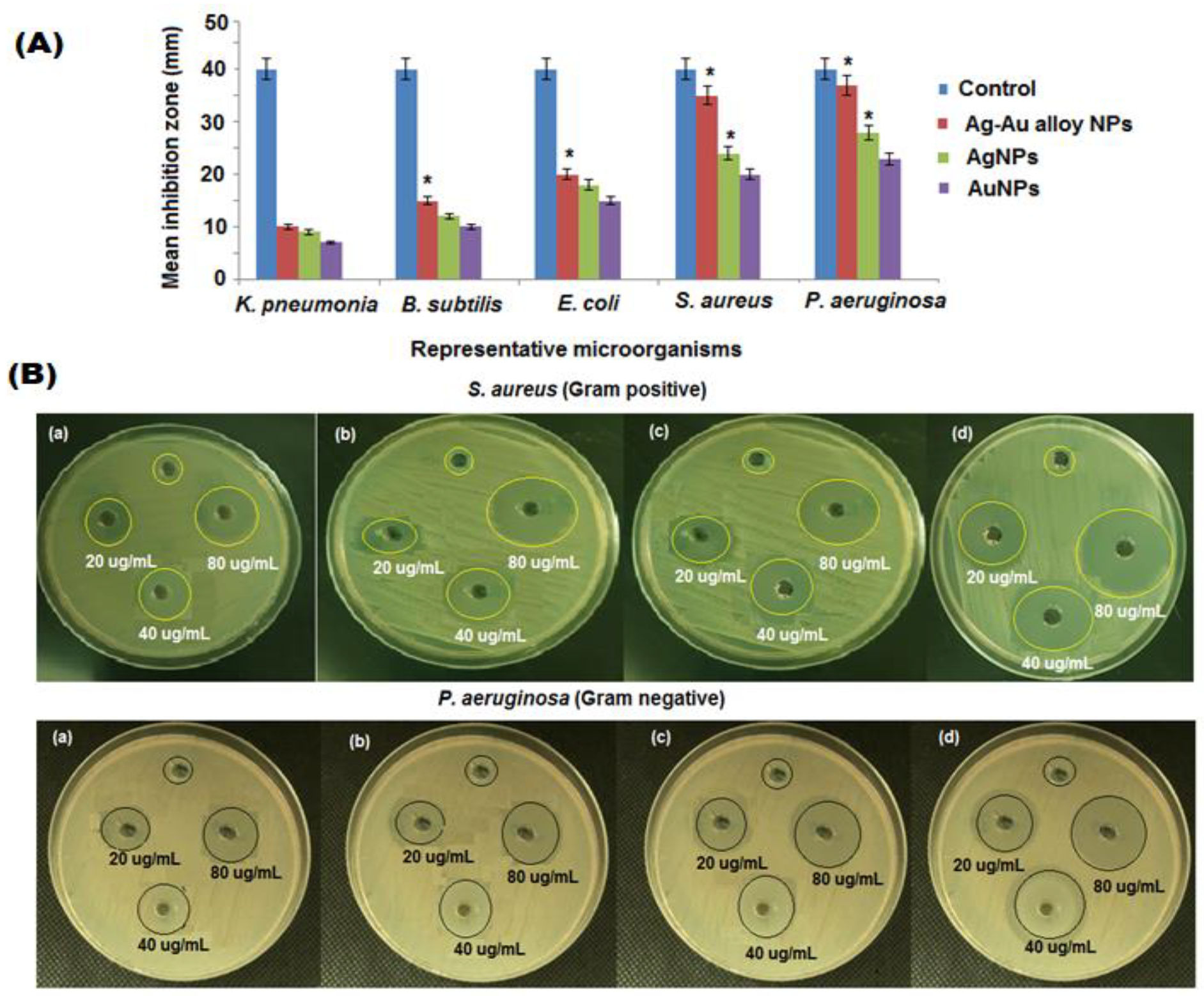 Nanomaterials 10 02453 g006 Nanomaterials 10 02453 g006