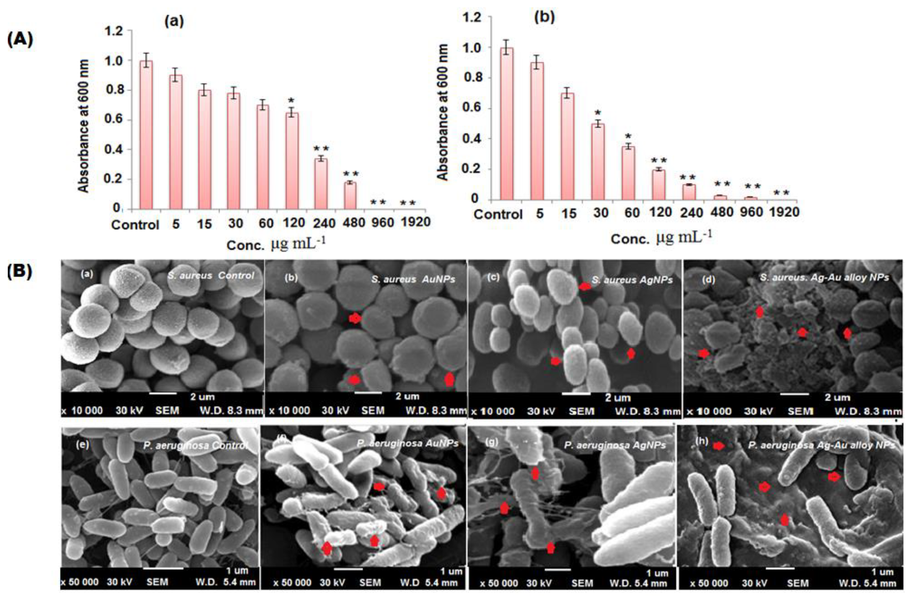 Nanomaterials 10 02453 g007 Nanomaterials 10 02453 g007