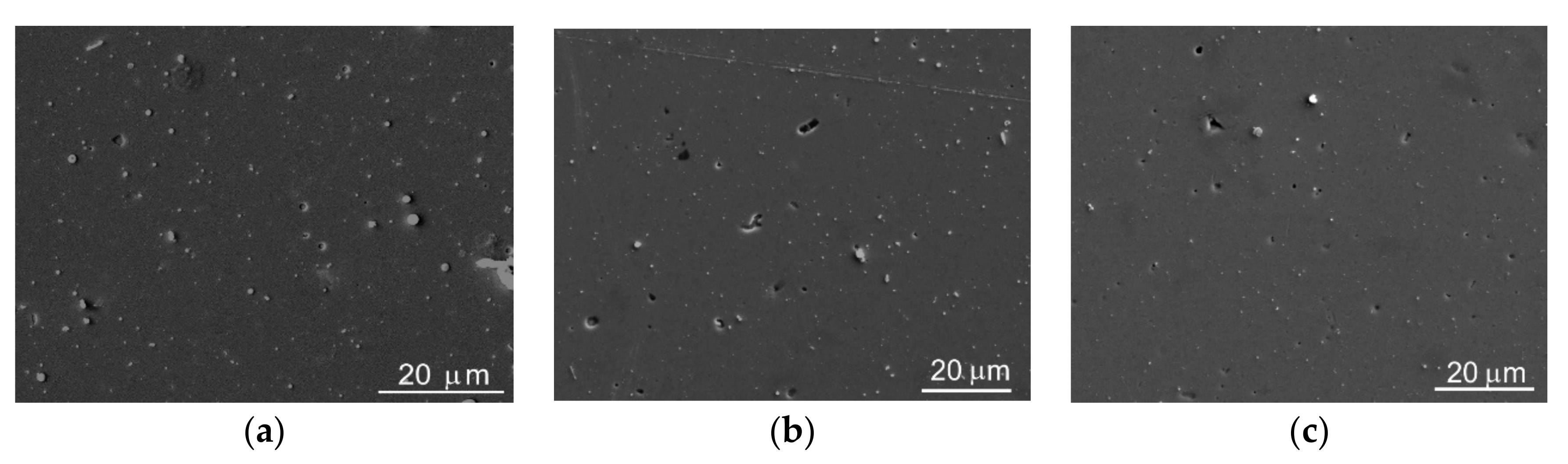 Nanomaterials 10 02456 g003