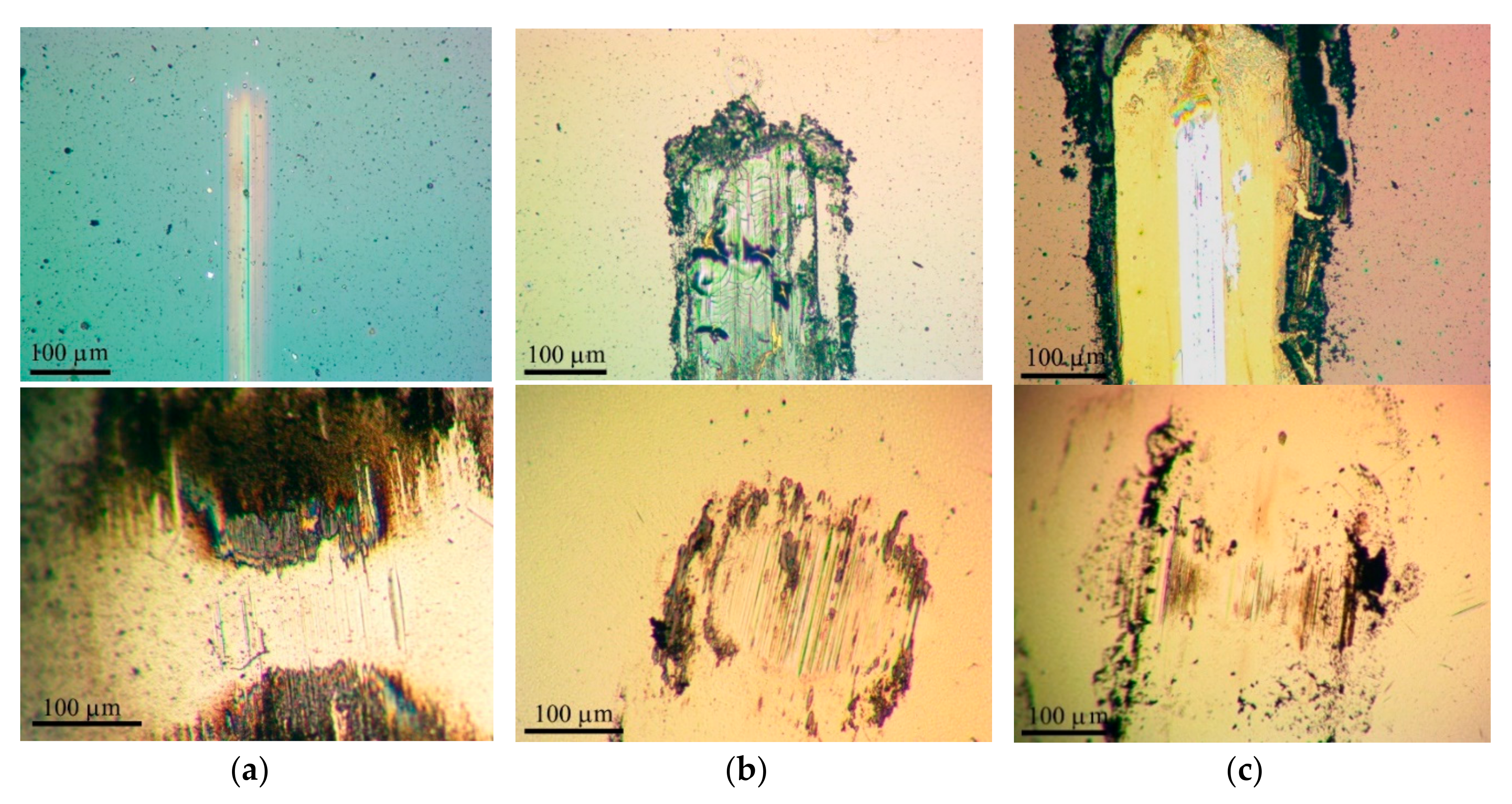 Nanomaterials 10 02456 g013