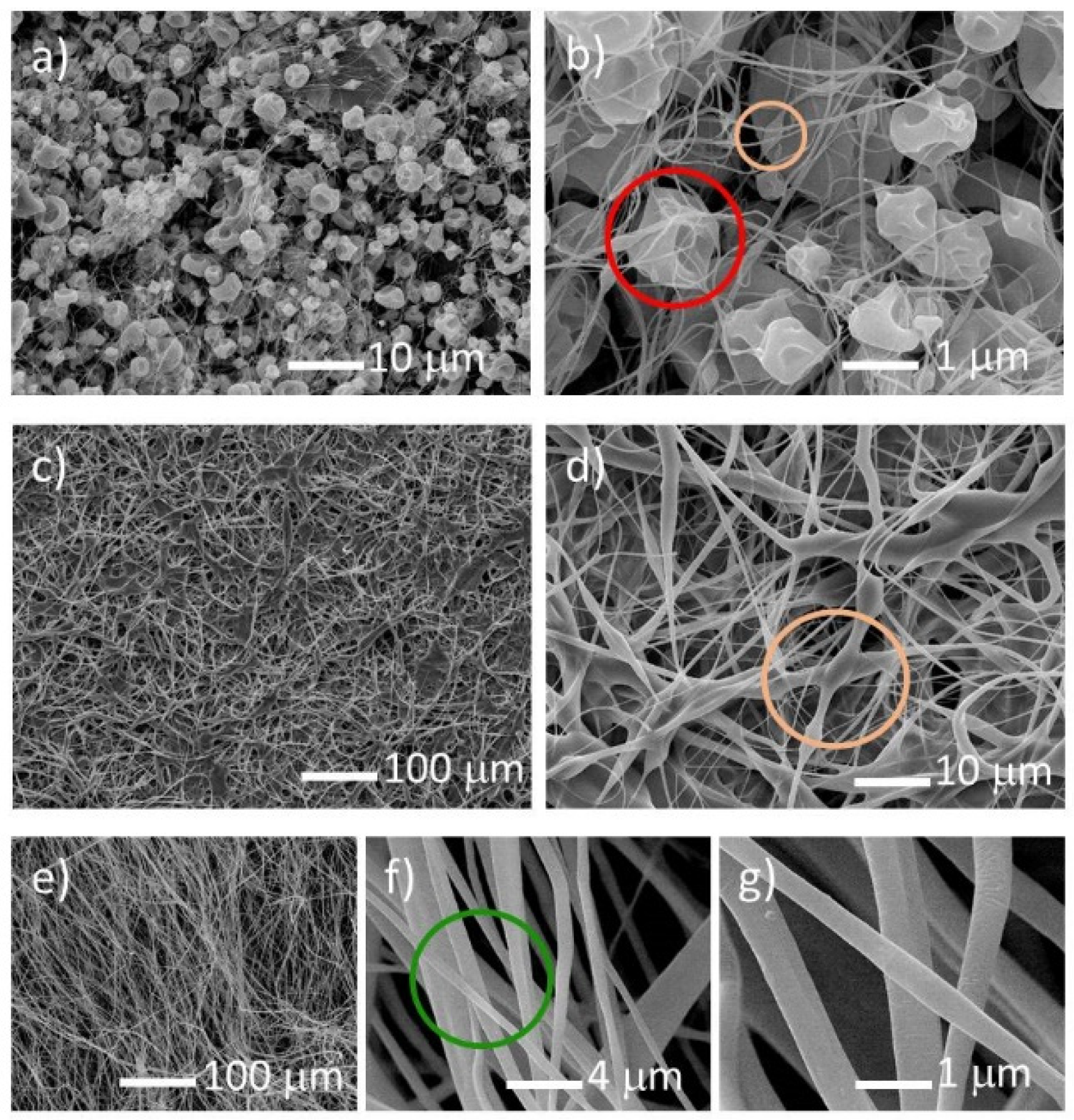Nanomaterials 10 02458 g001