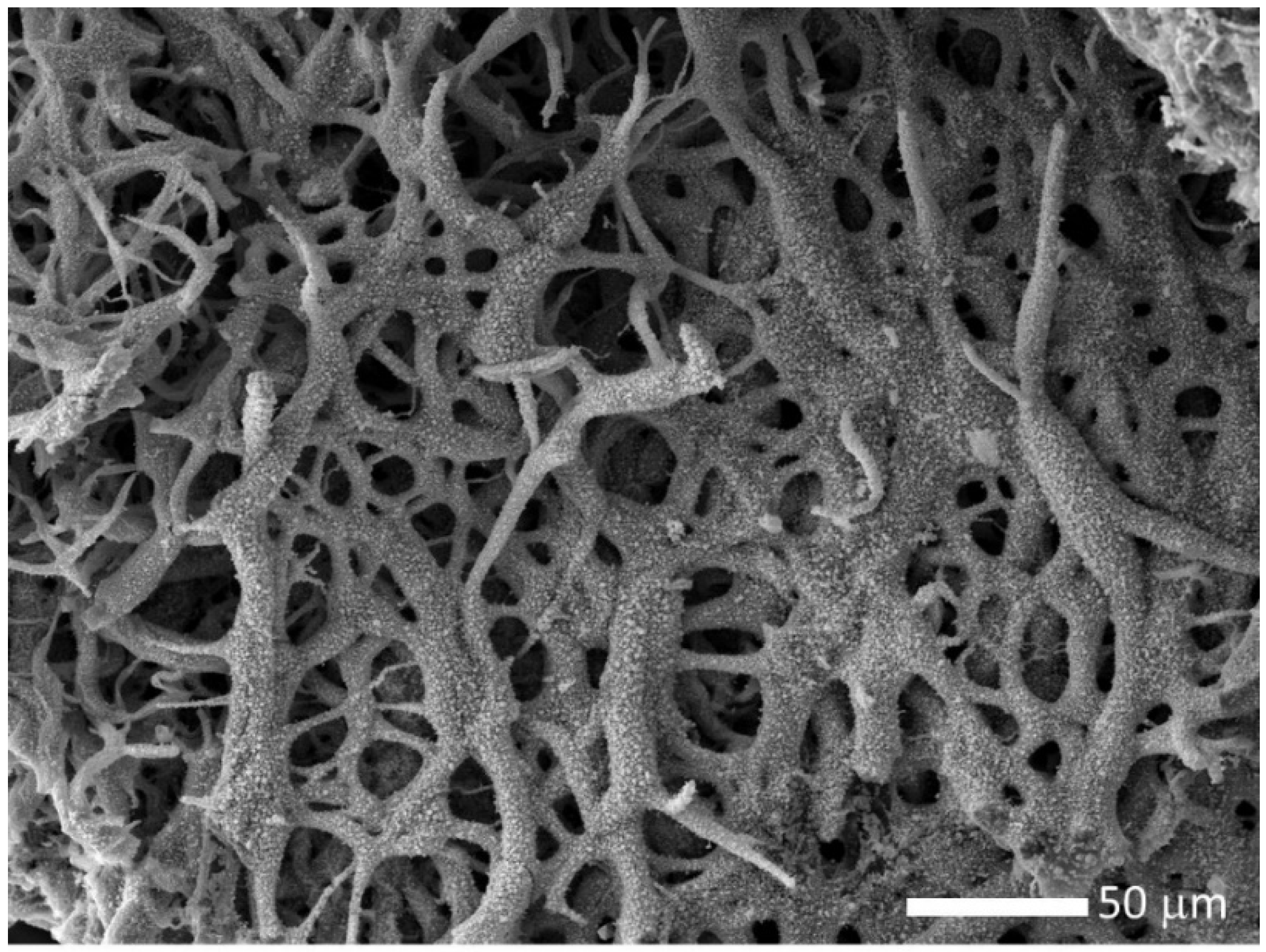 Nanomaterials 10 02458 g004