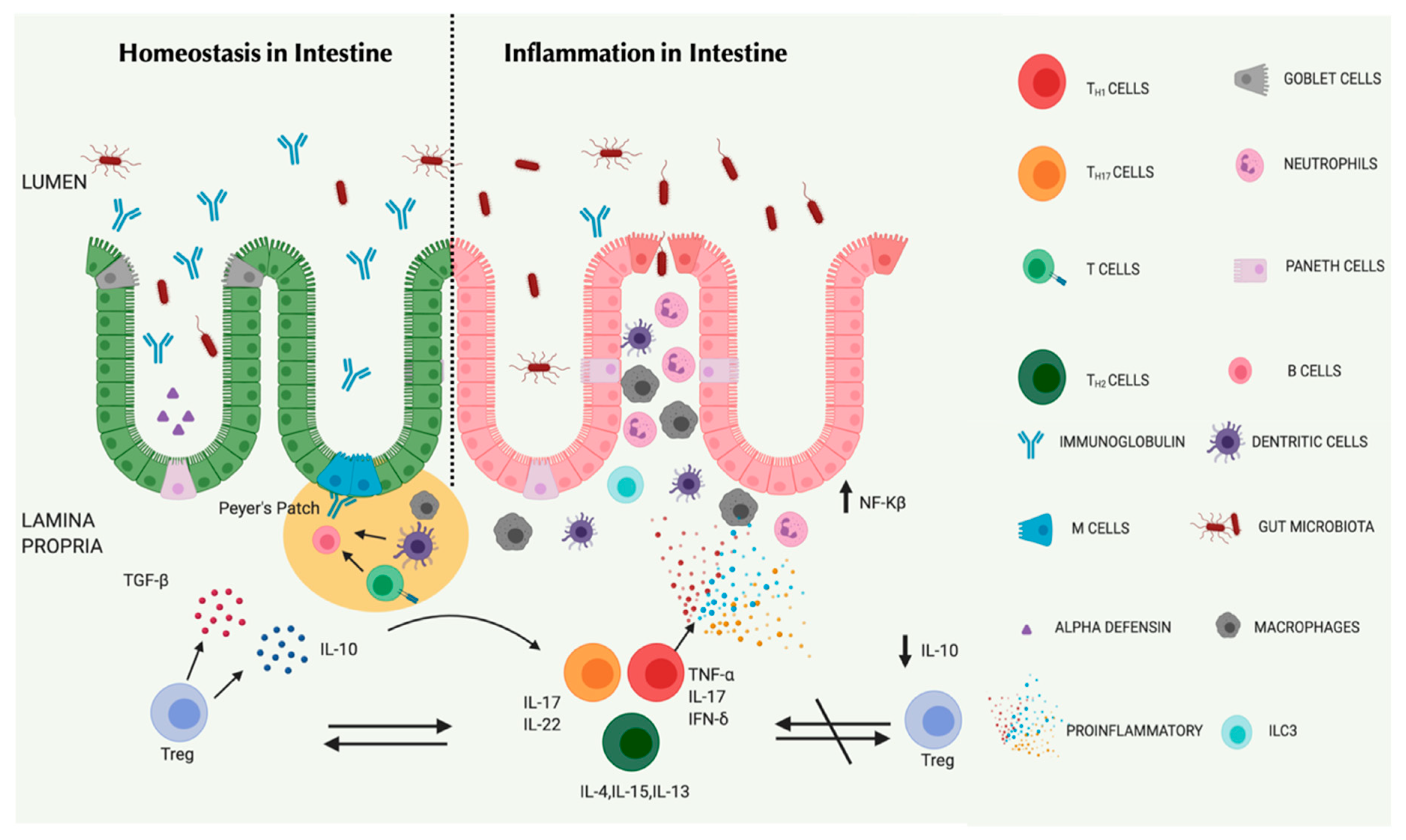 Nanomaterials 10 02460 g003