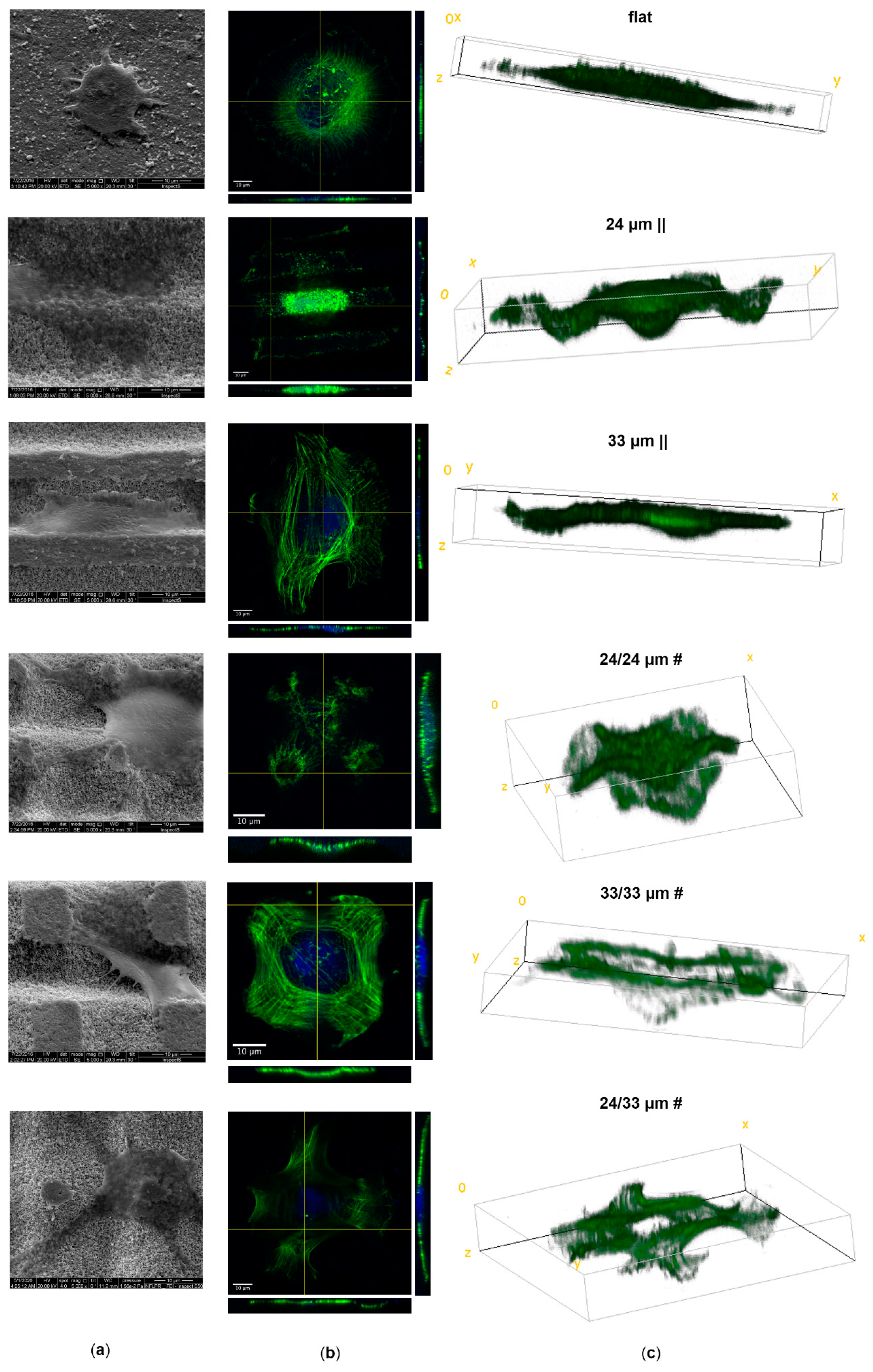 Nanomaterials 10 02465 g004 Nanomaterials 10 02465 g004