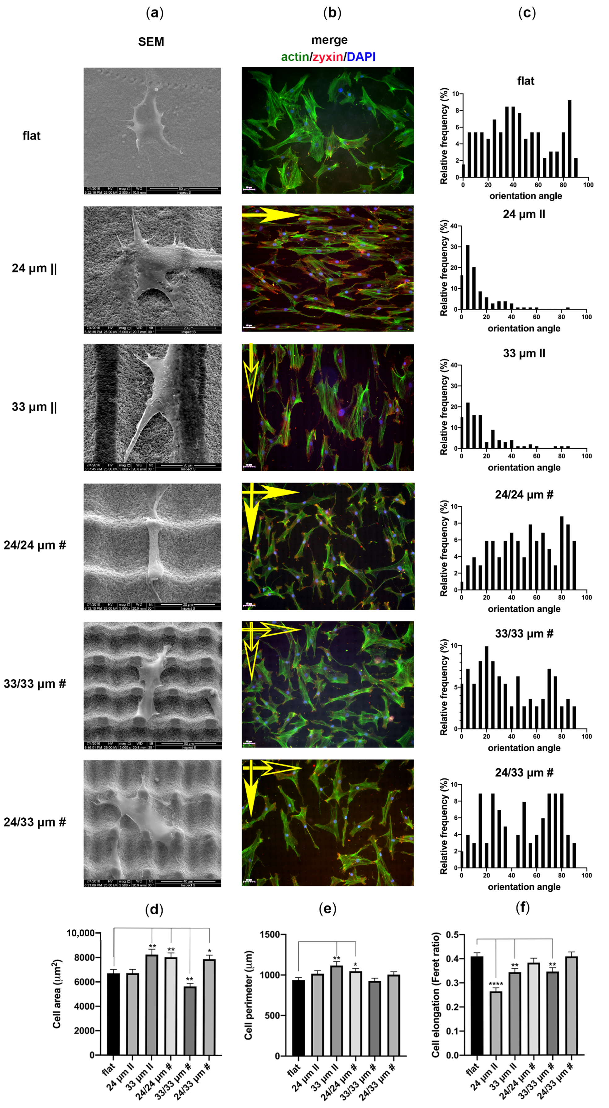 Nanomaterials 10 02465 g005 Nanomaterials 10 02465 g005