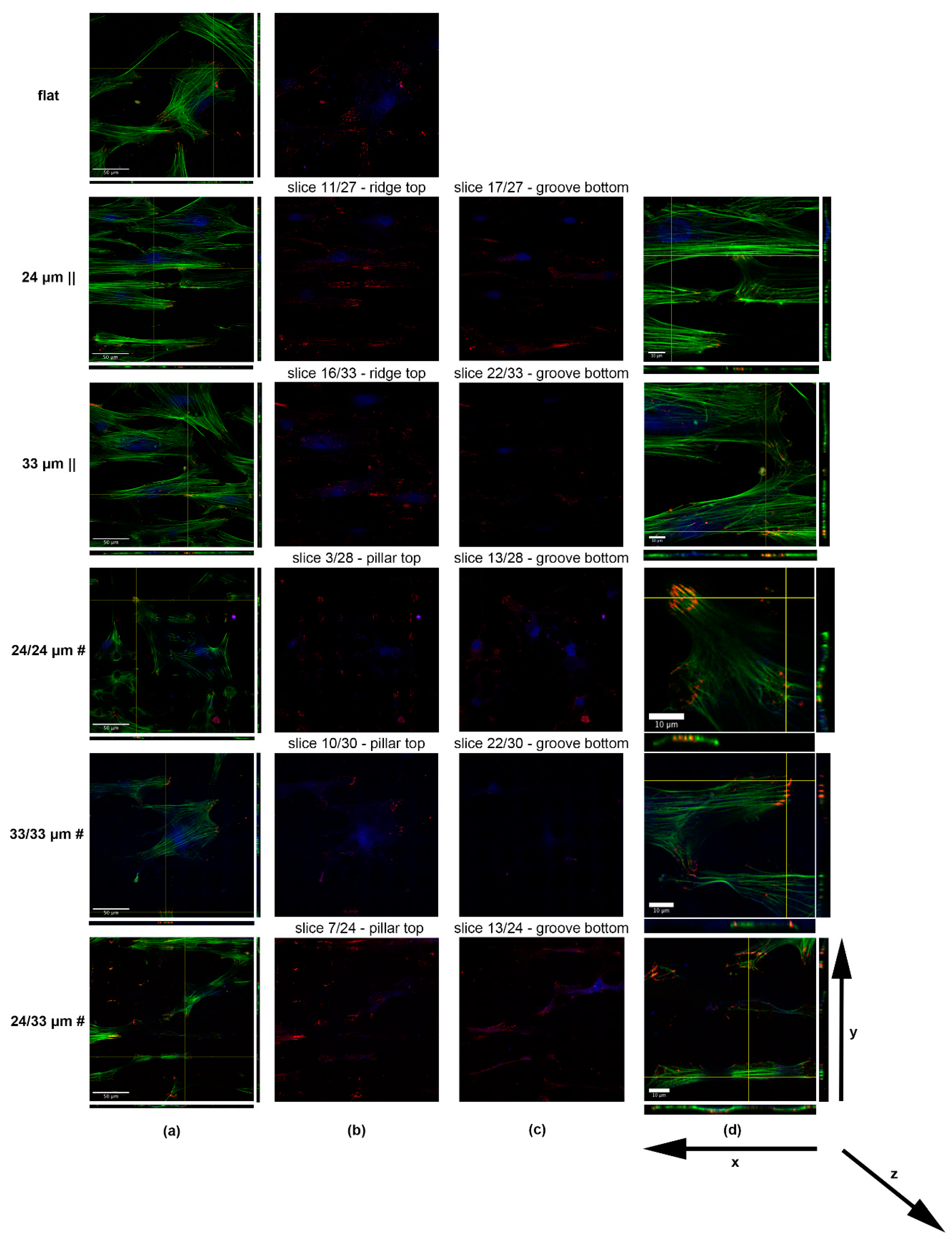 Nanomaterials 10 02465 g006 Nanomaterials 10 02465 g006