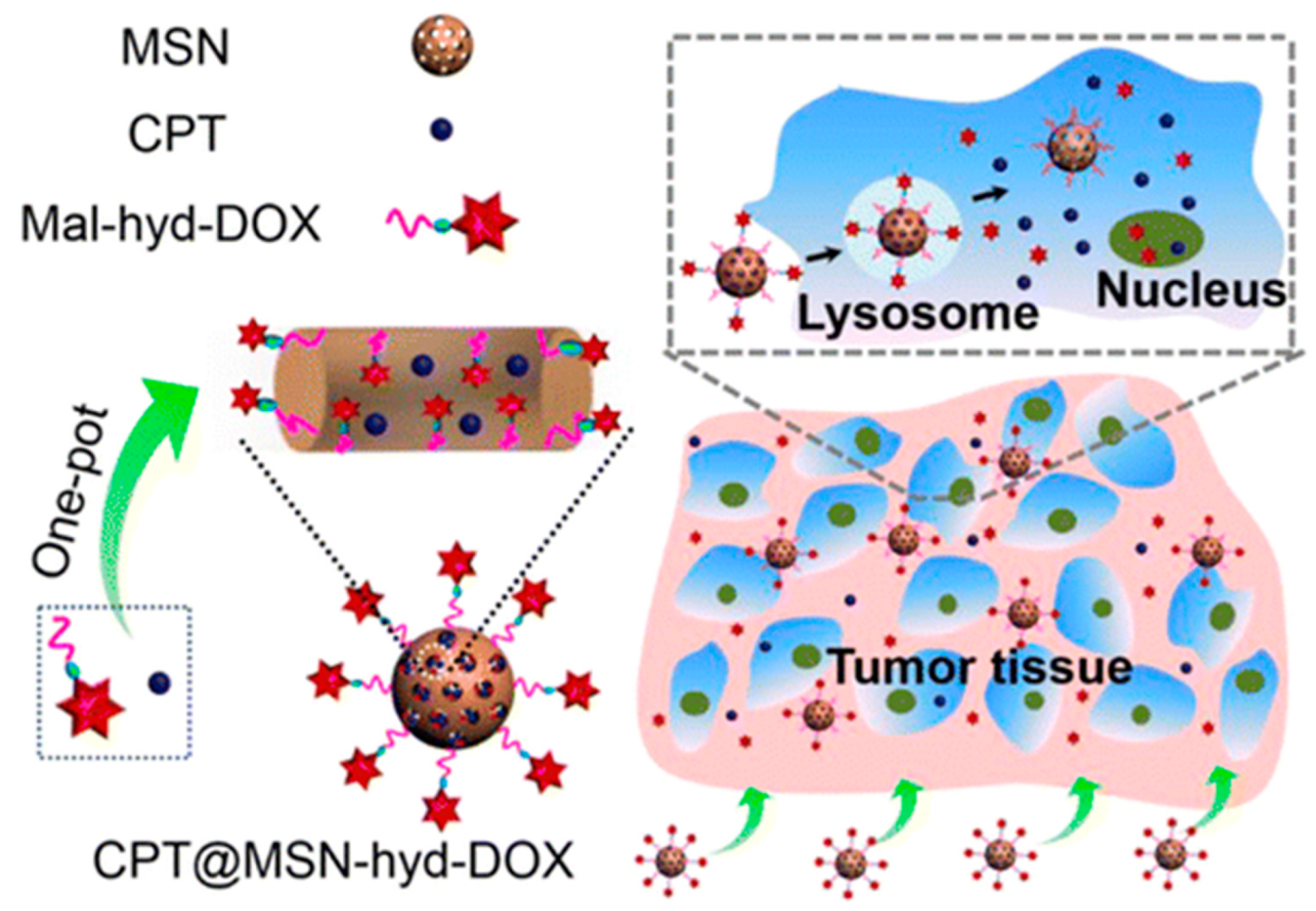 Nanomaterials 10 02466 g004 Nanomaterials 10 02466 g004