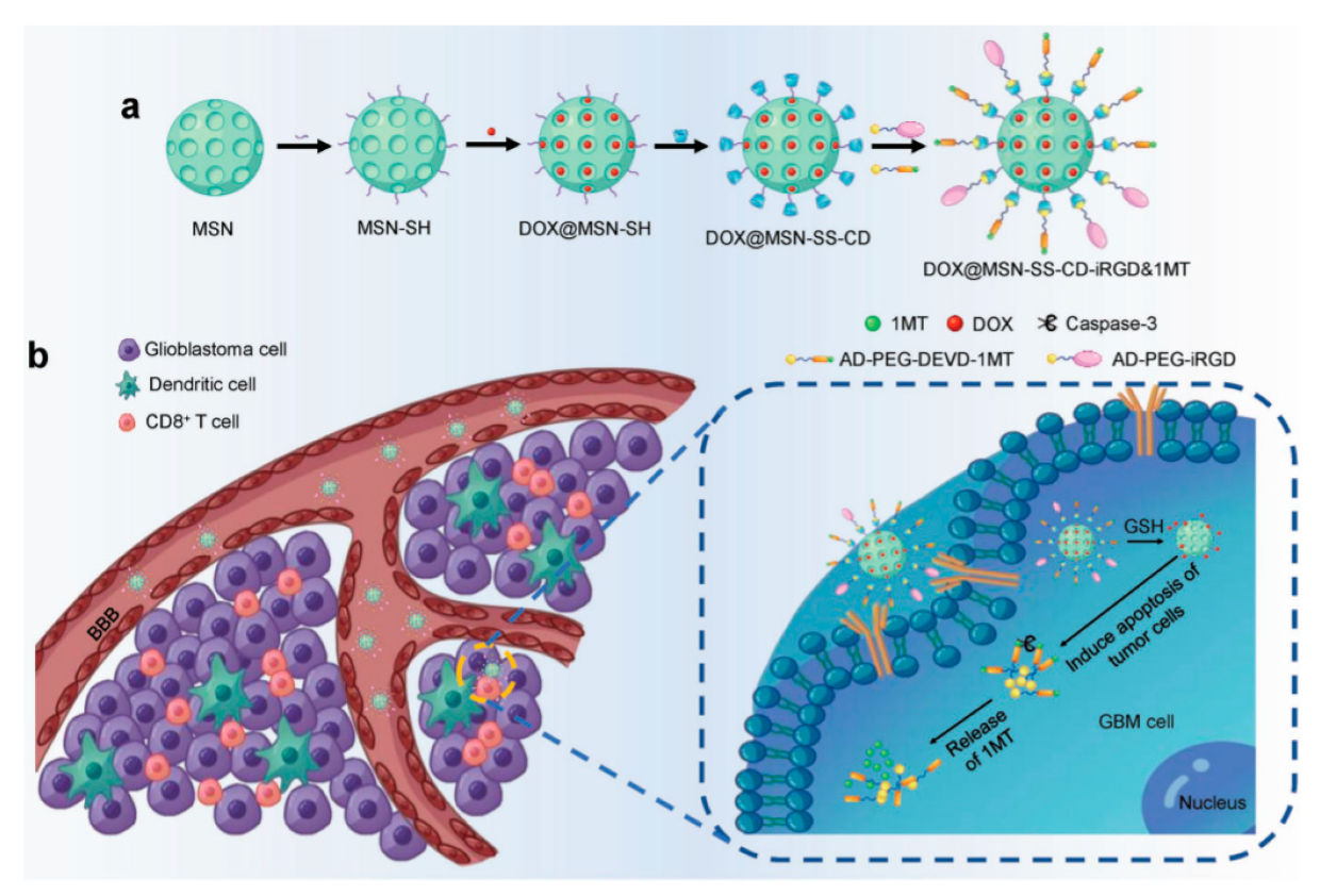 Nanomaterials 10 02466 g011 Nanomaterials 10 02466 g011