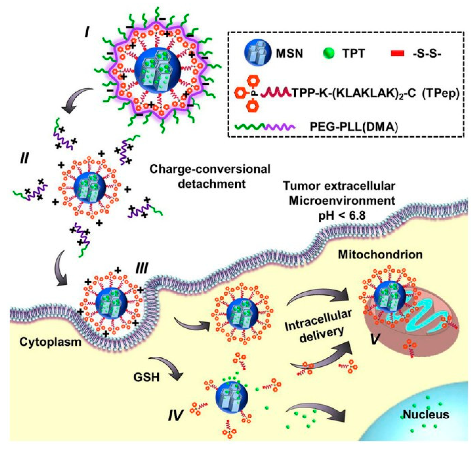 Nanomaterials 10 02466 g013 Nanomaterials 10 02466 g013