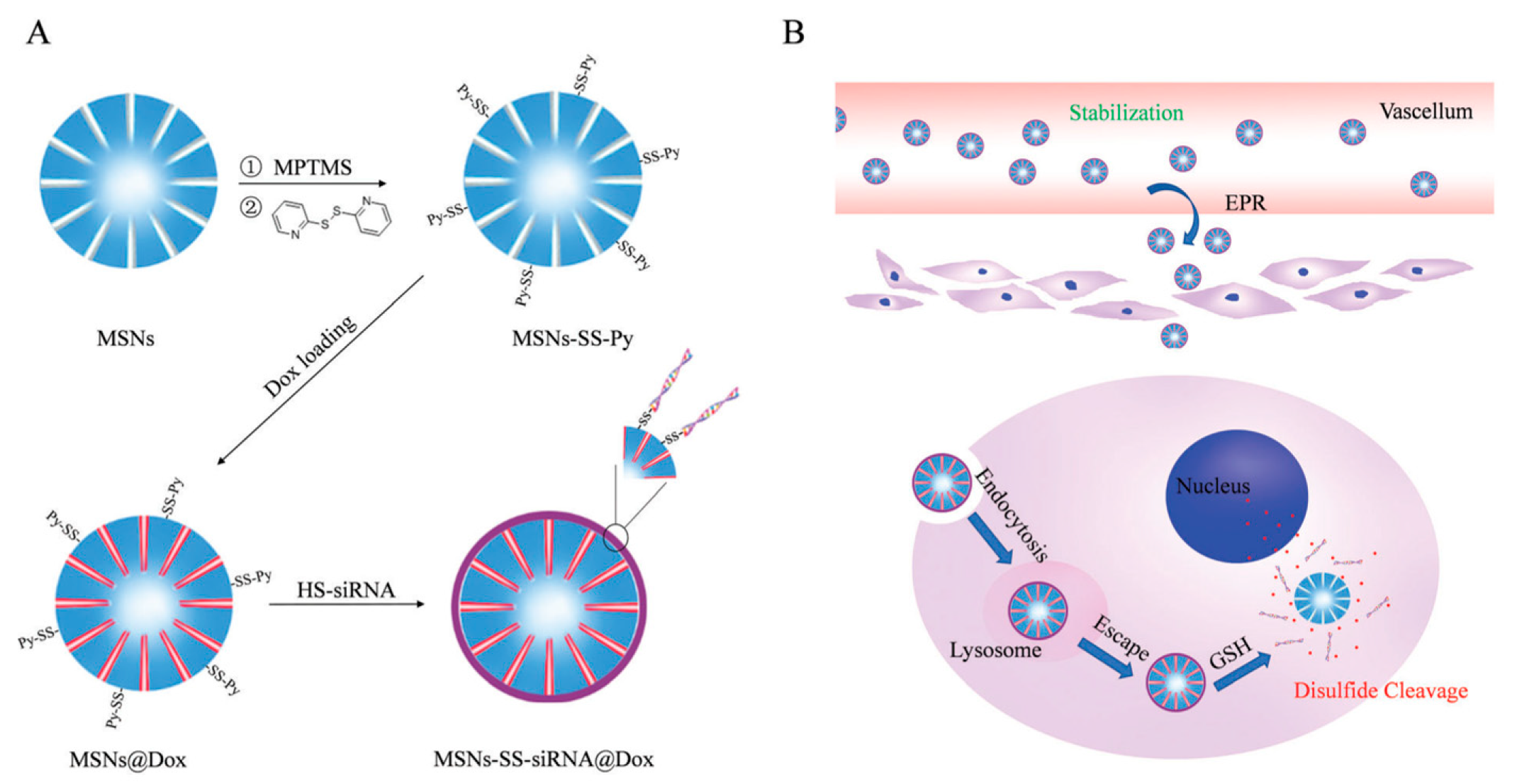 Nanomaterials 10 02466 g015 Nanomaterials 10 02466 g015