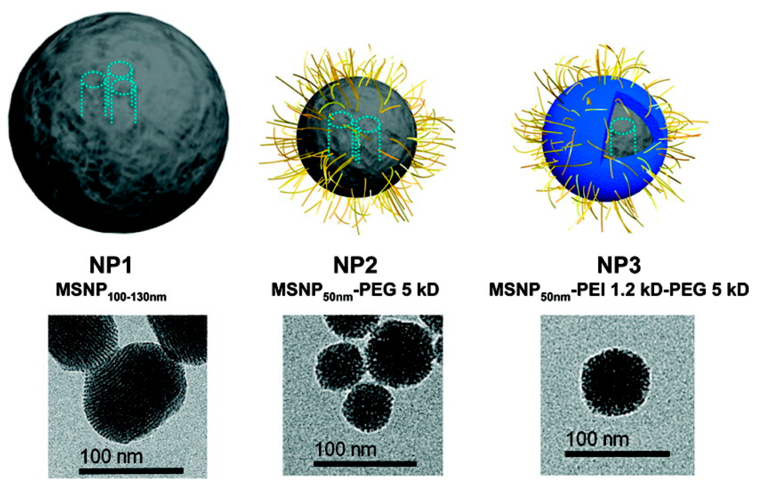 Nanomaterials 10 02466 g016 Nanomaterials 10 02466 g016