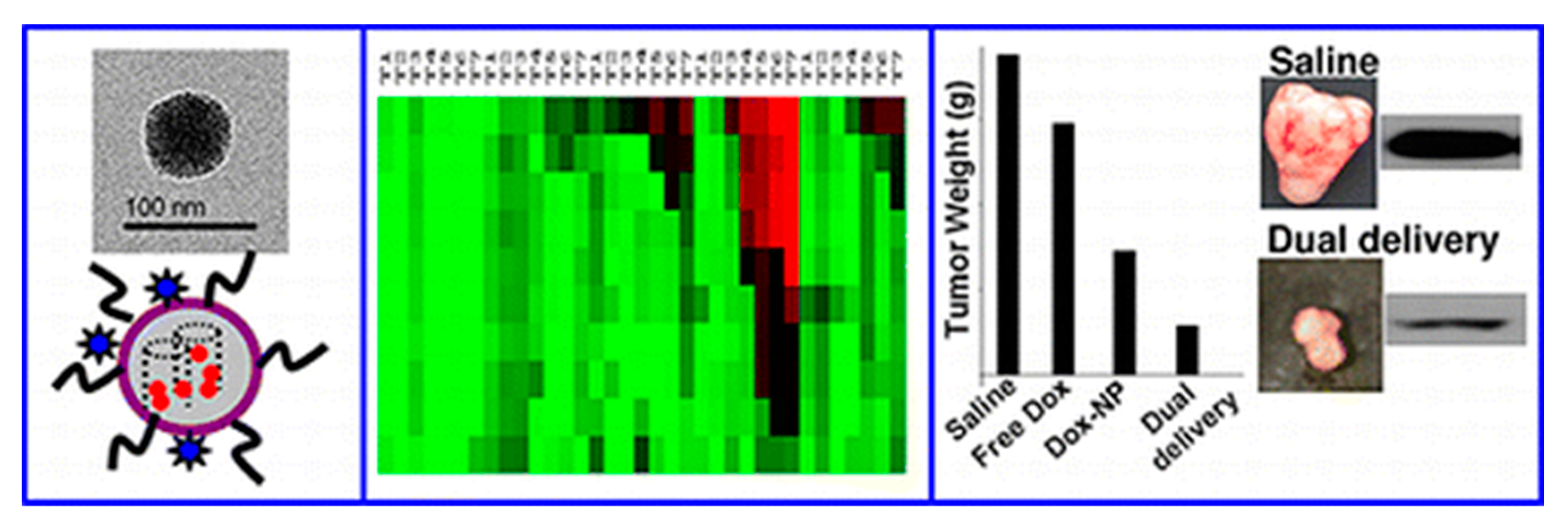 Nanomaterials 10 02466 g017 Nanomaterials 10 02466 g017