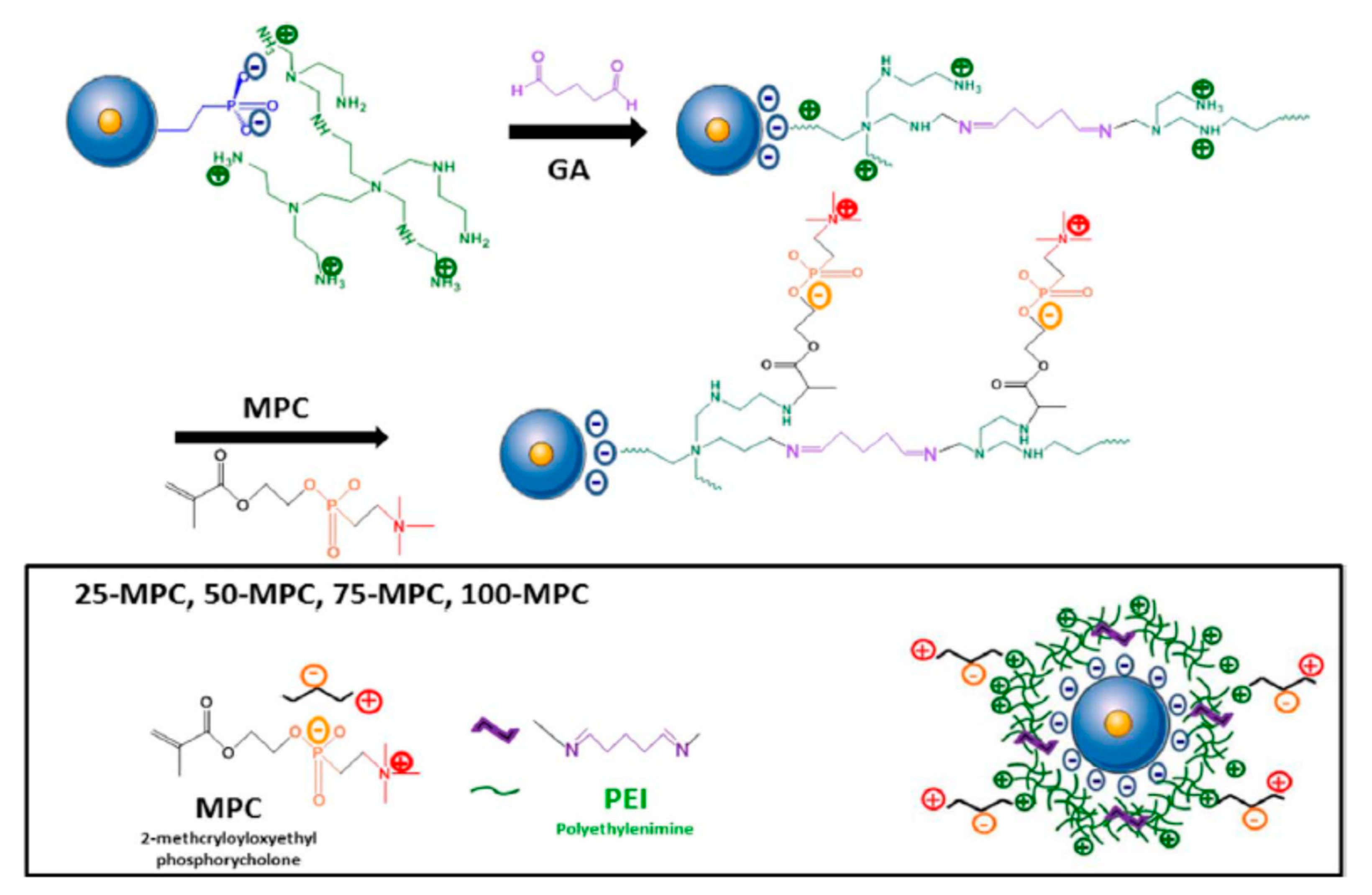 Nanomaterials 10 02466 g018 Nanomaterials 10 02466 g018
