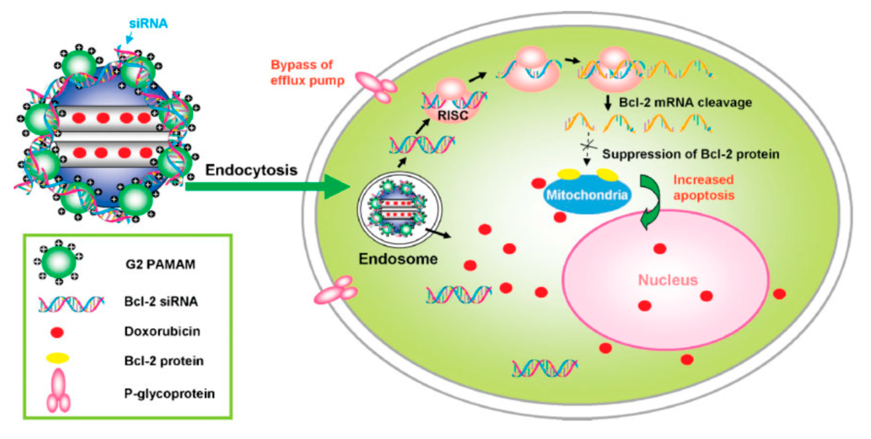 Nanomaterials 10 02466 g019 Nanomaterials 10 02466 g019