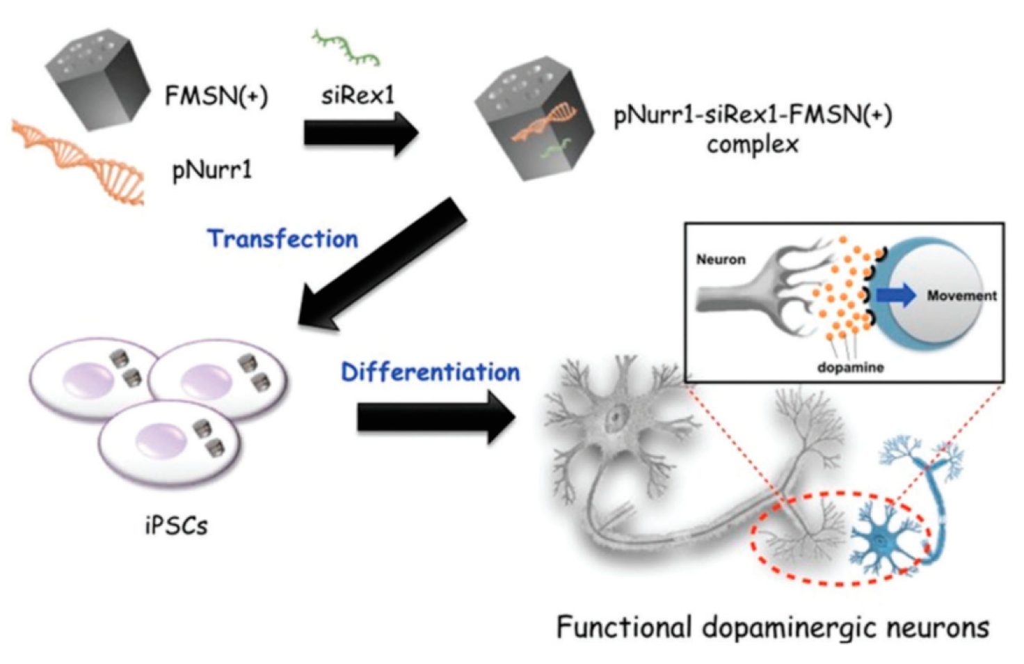 Nanomaterials 10 02466 g020 Nanomaterials 10 02466 g020
