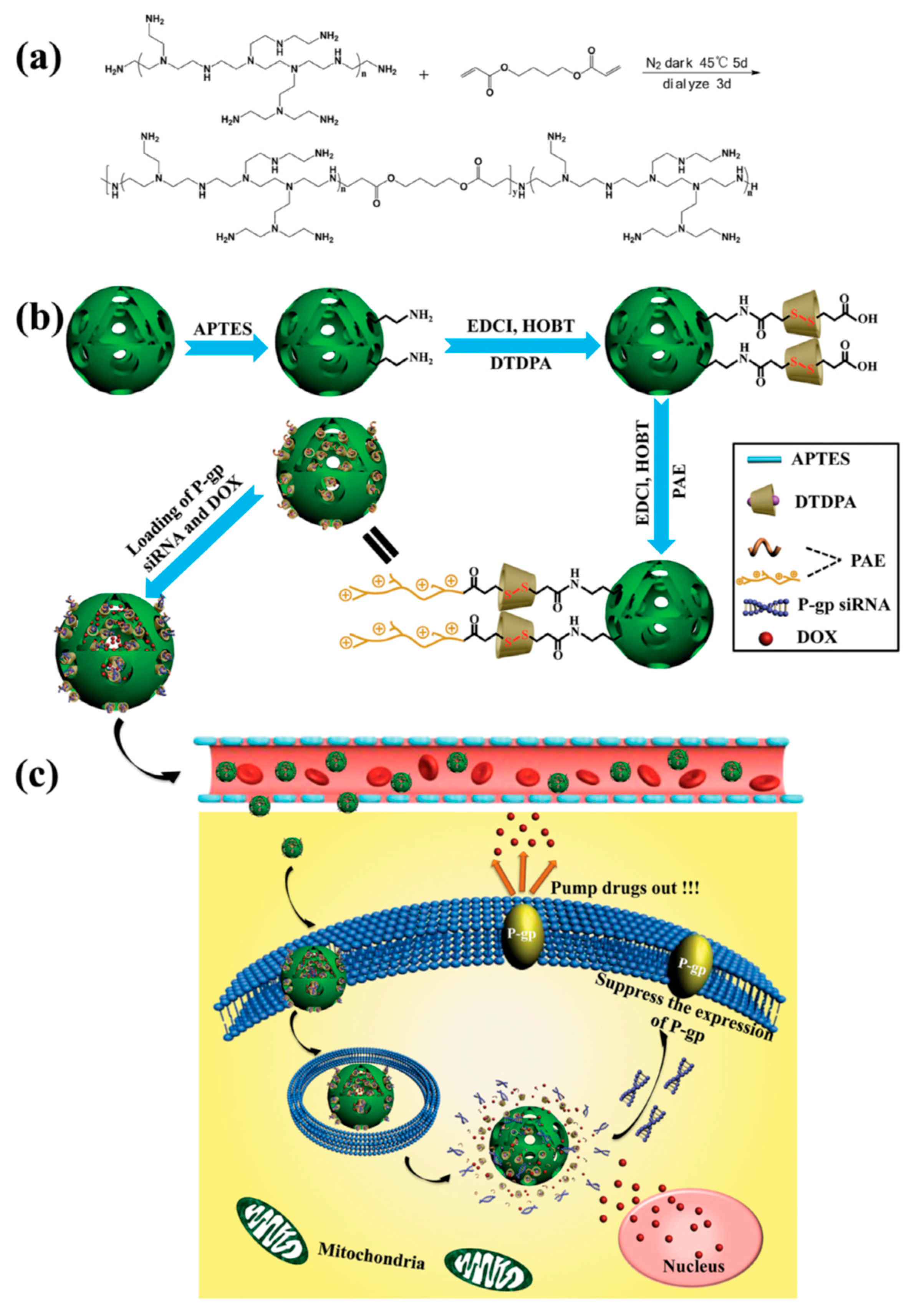 Nanomaterials 10 02466 g023 Nanomaterials 10 02466 g023