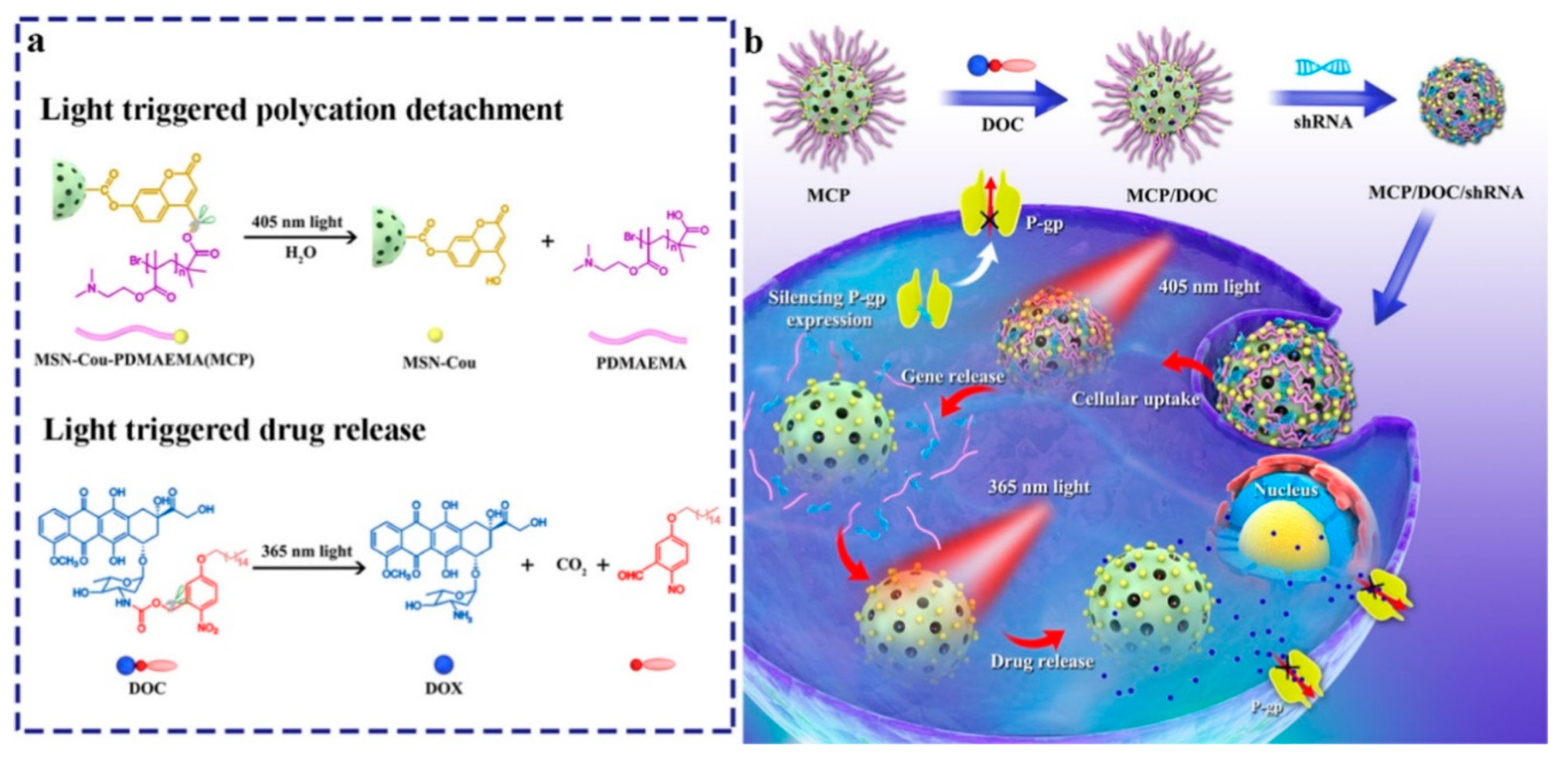 Nanomaterials 10 02466 g025 Nanomaterials 10 02466 g025