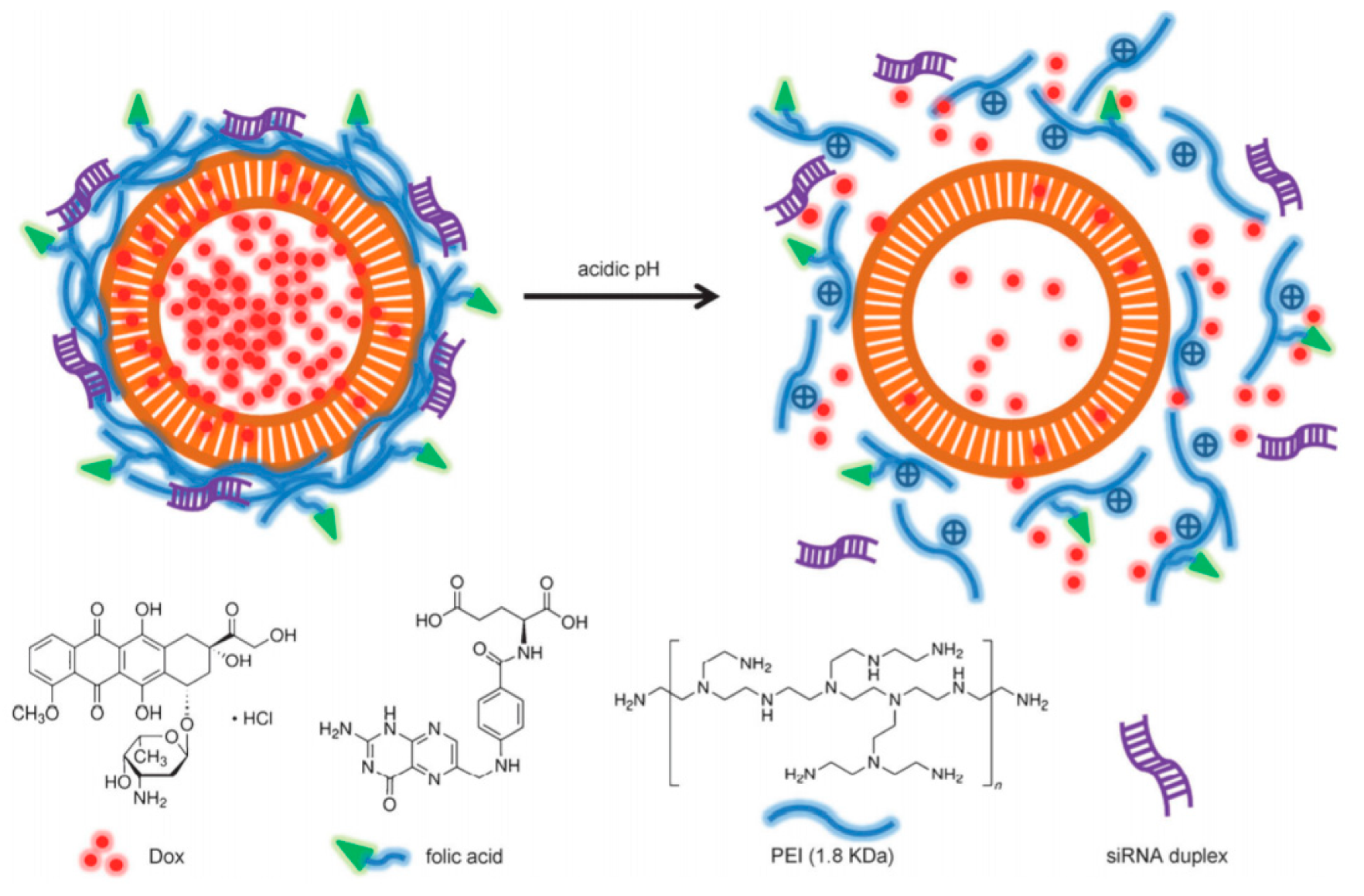 Nanomaterials 10 02466 g026 Nanomaterials 10 02466 g026
