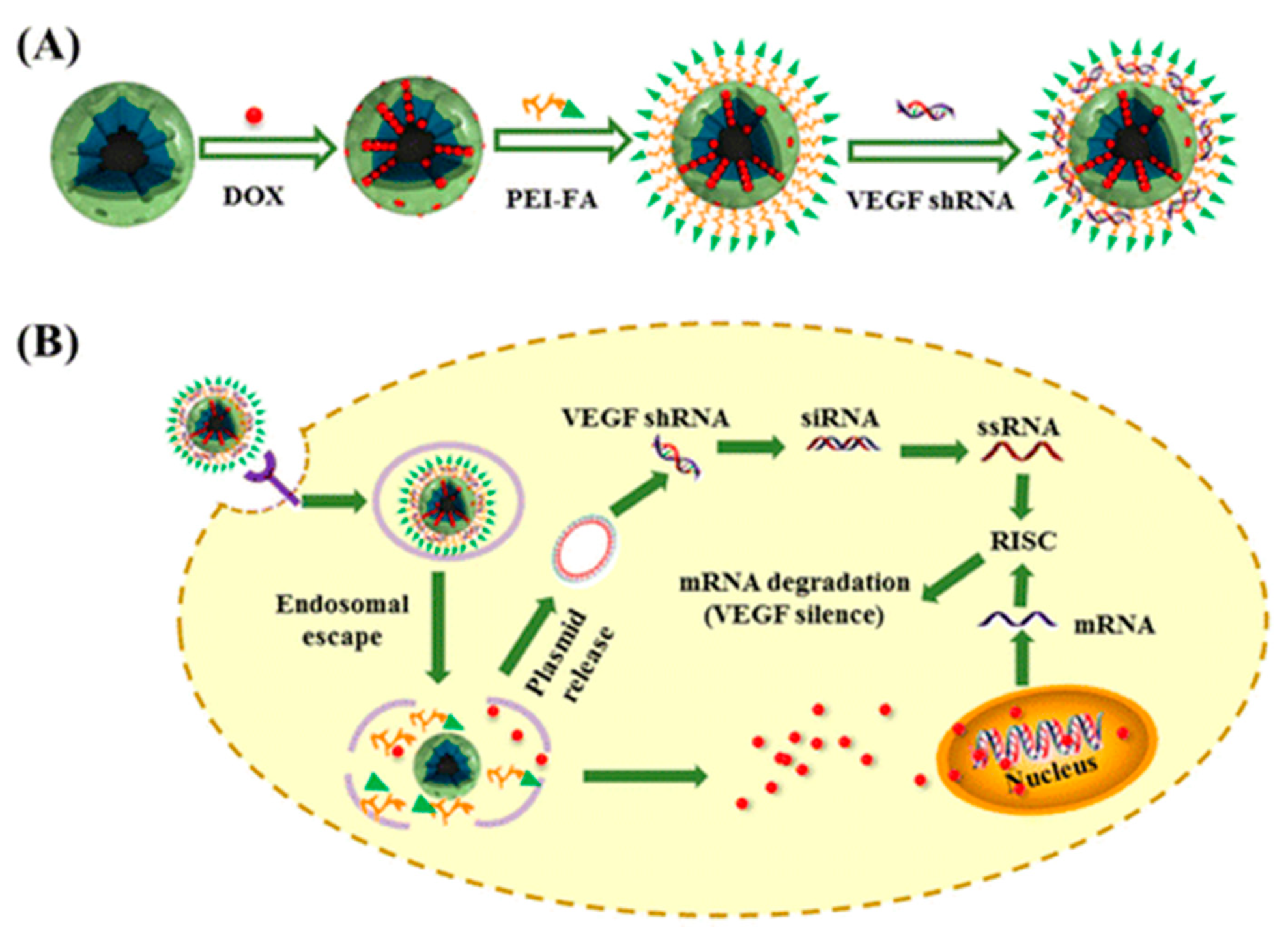 Nanomaterials 10 02466 g027 Nanomaterials 10 02466 g027