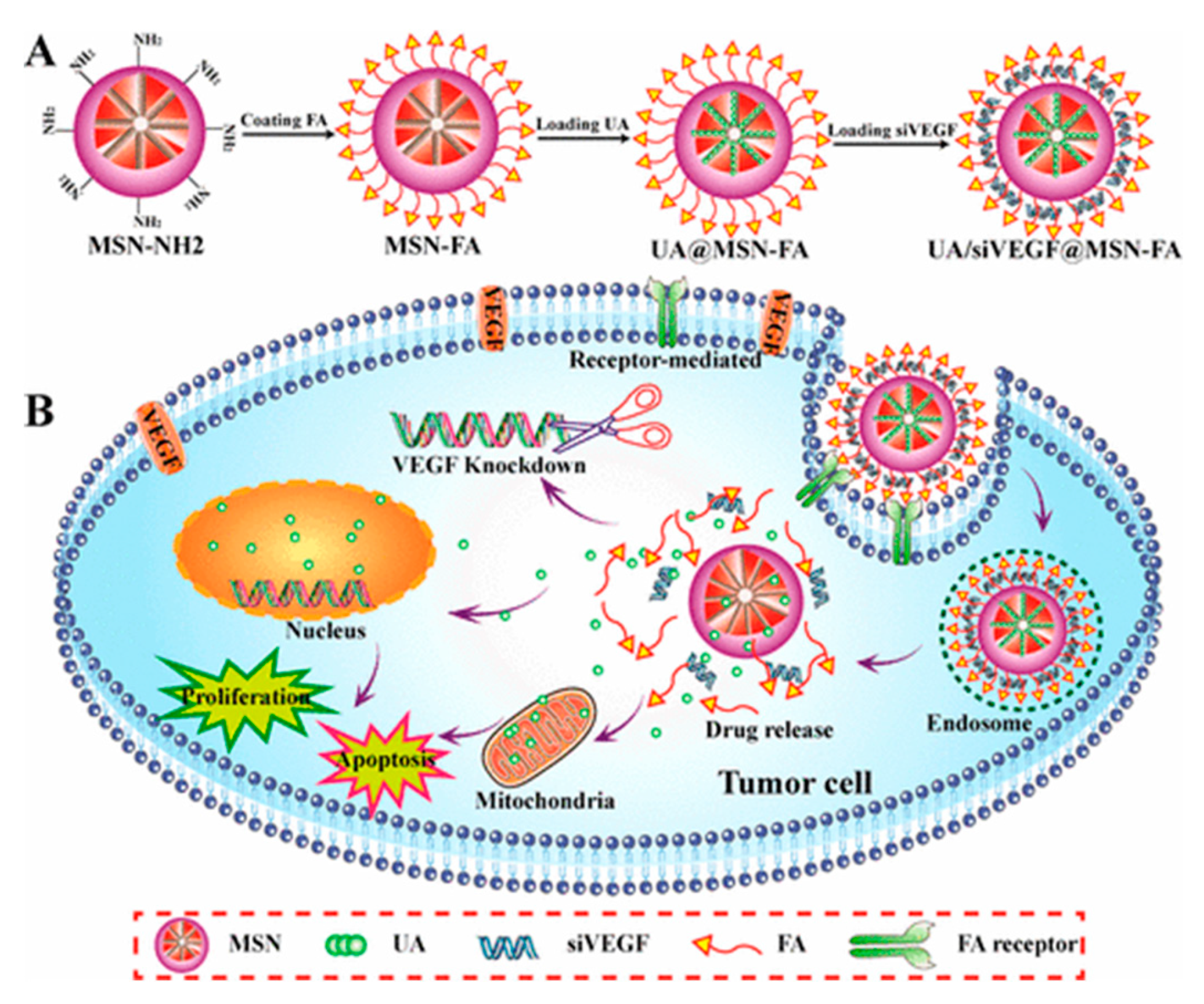 Nanomaterials 10 02466 g028 Nanomaterials 10 02466 g028