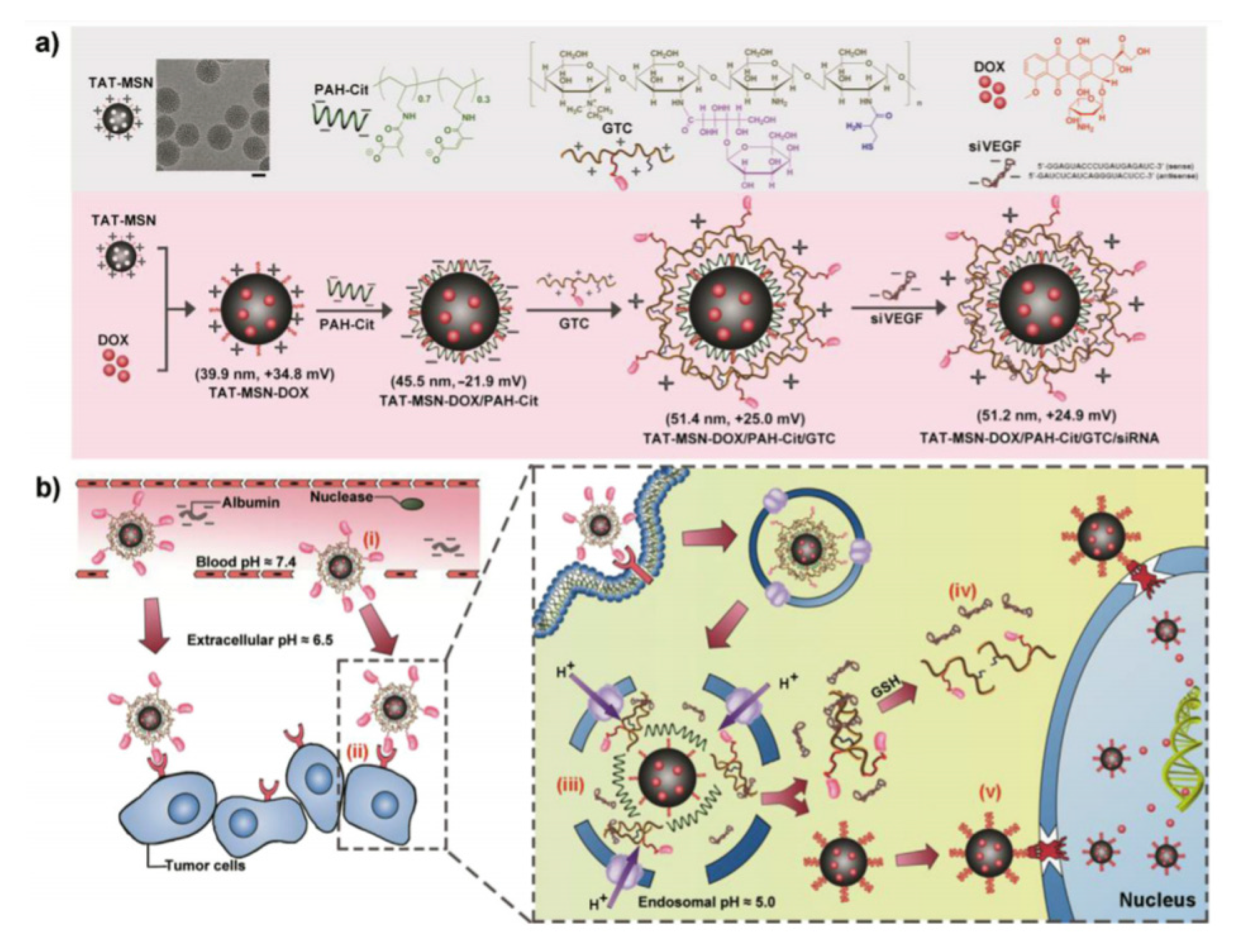 Nanomaterials 10 02466 g033 Nanomaterials 10 02466 g033