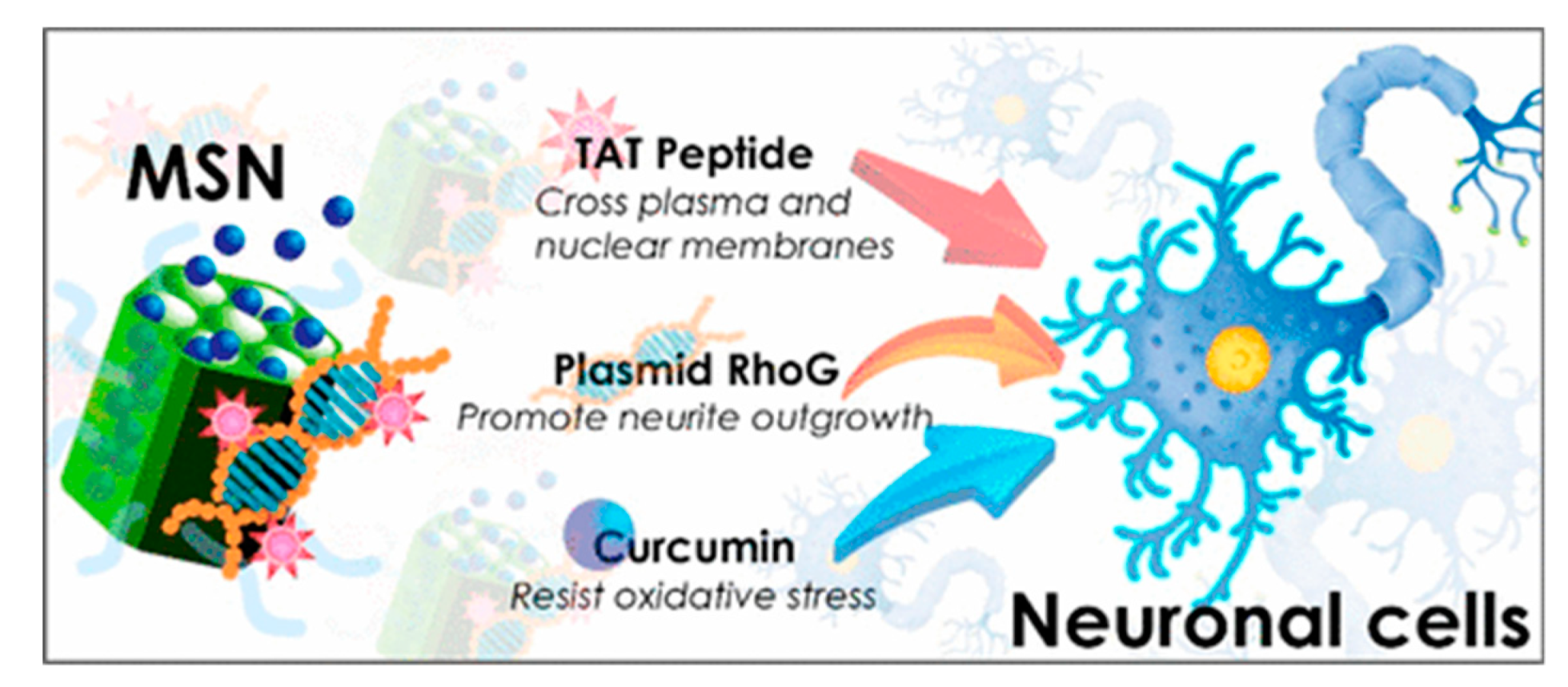 Nanomaterials 10 02466 g034 Nanomaterials 10 02466 g034