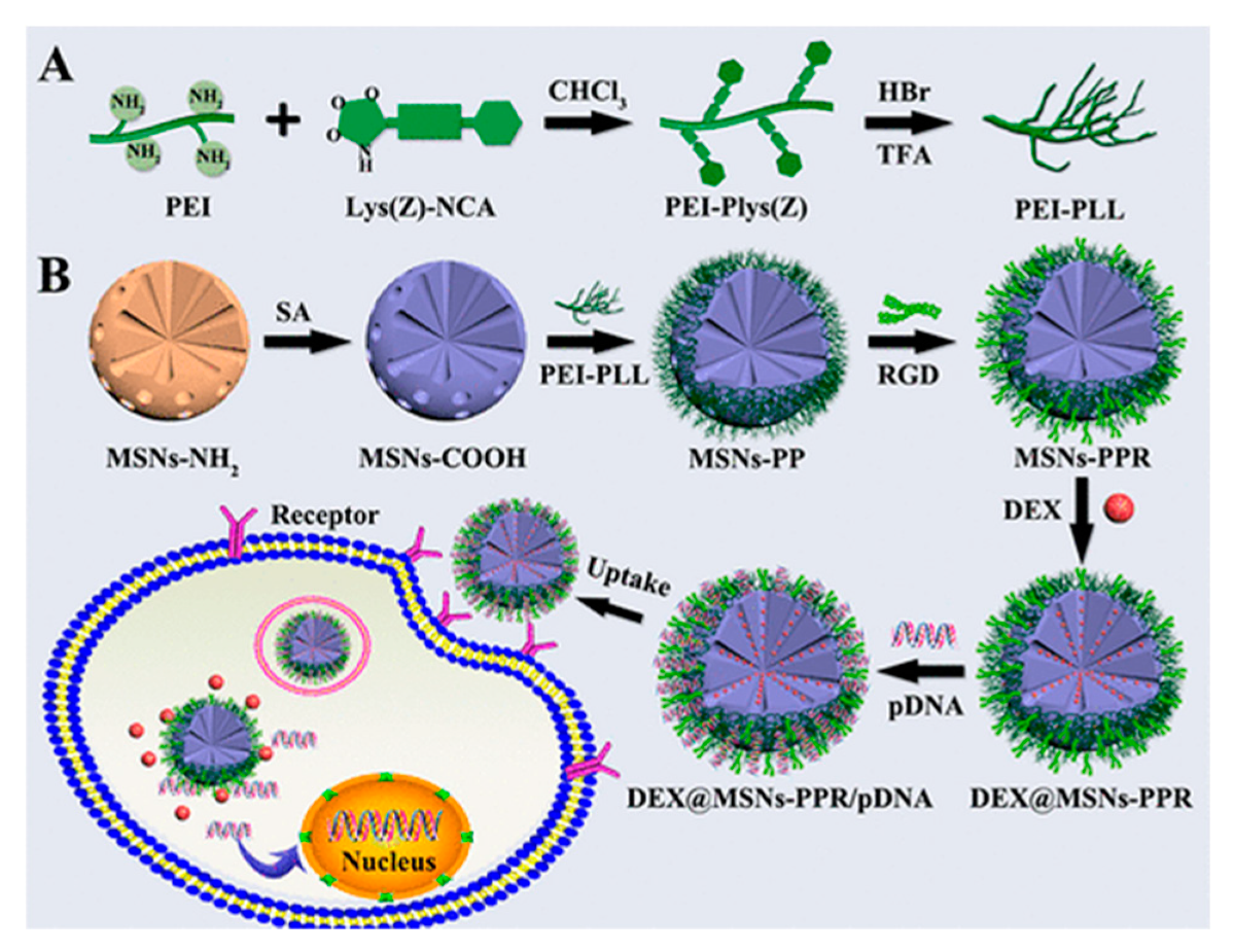 Nanomaterials 10 02466 g036 Nanomaterials 10 02466 g036
