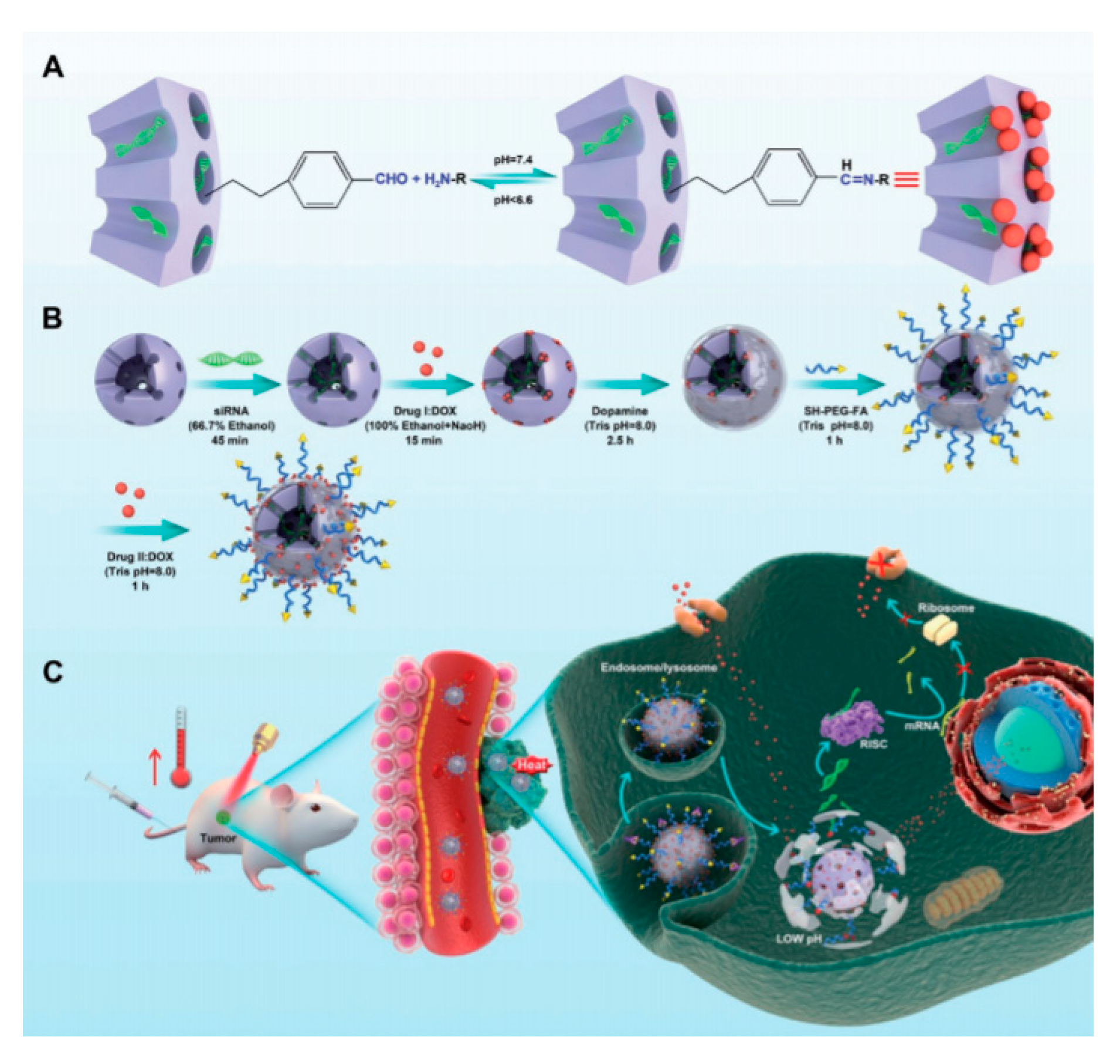 Nanomaterials 10 02466 g037 Nanomaterials 10 02466 g037
