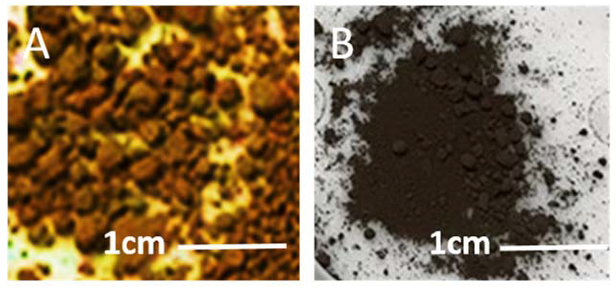 Nanomaterials 10 02467 g001