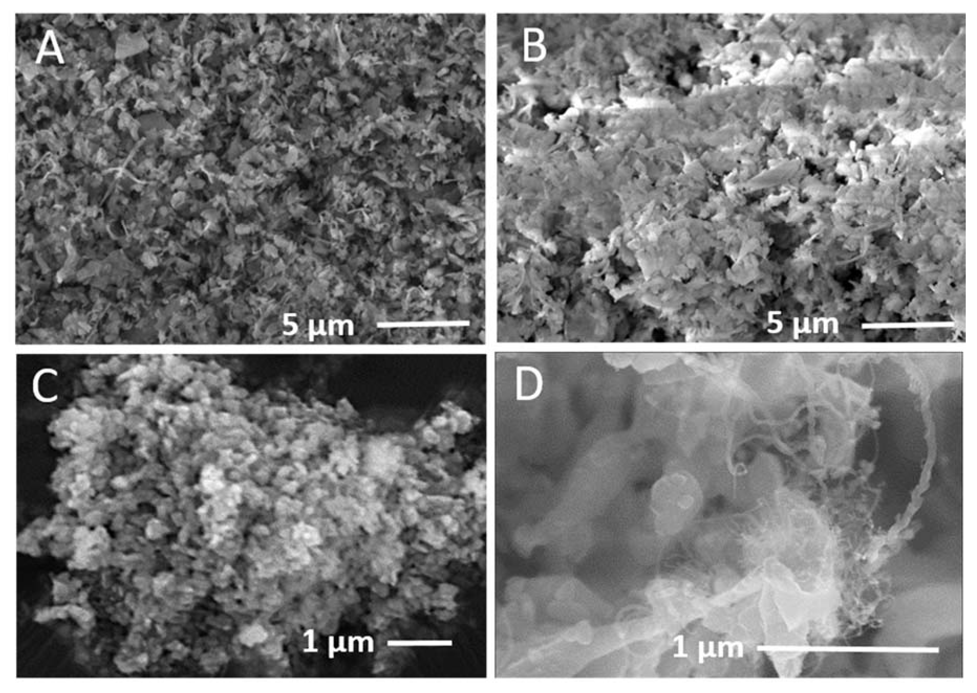 Nanomaterials 10 02467 g004