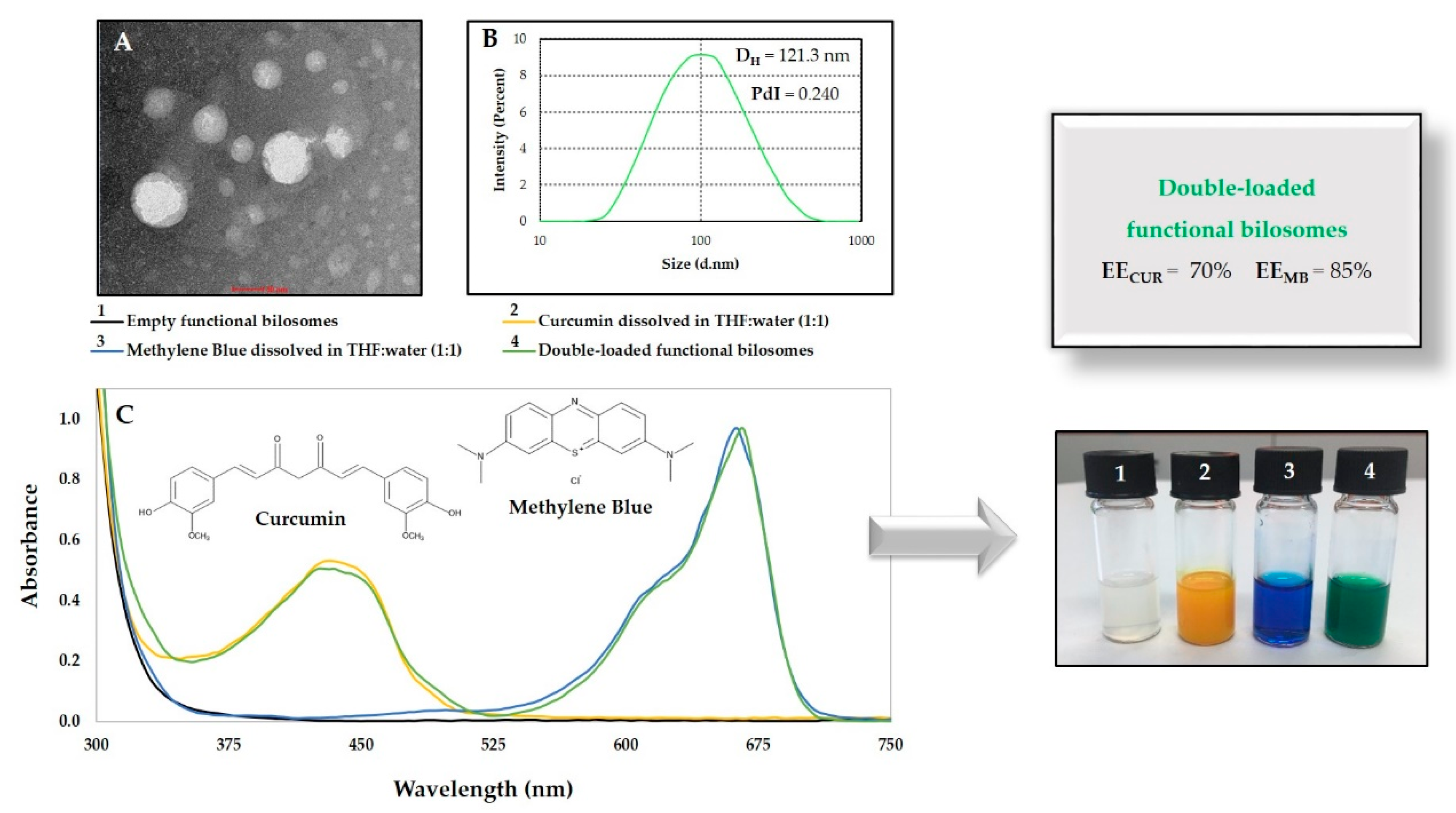 Nanomaterials 10 02472 g006