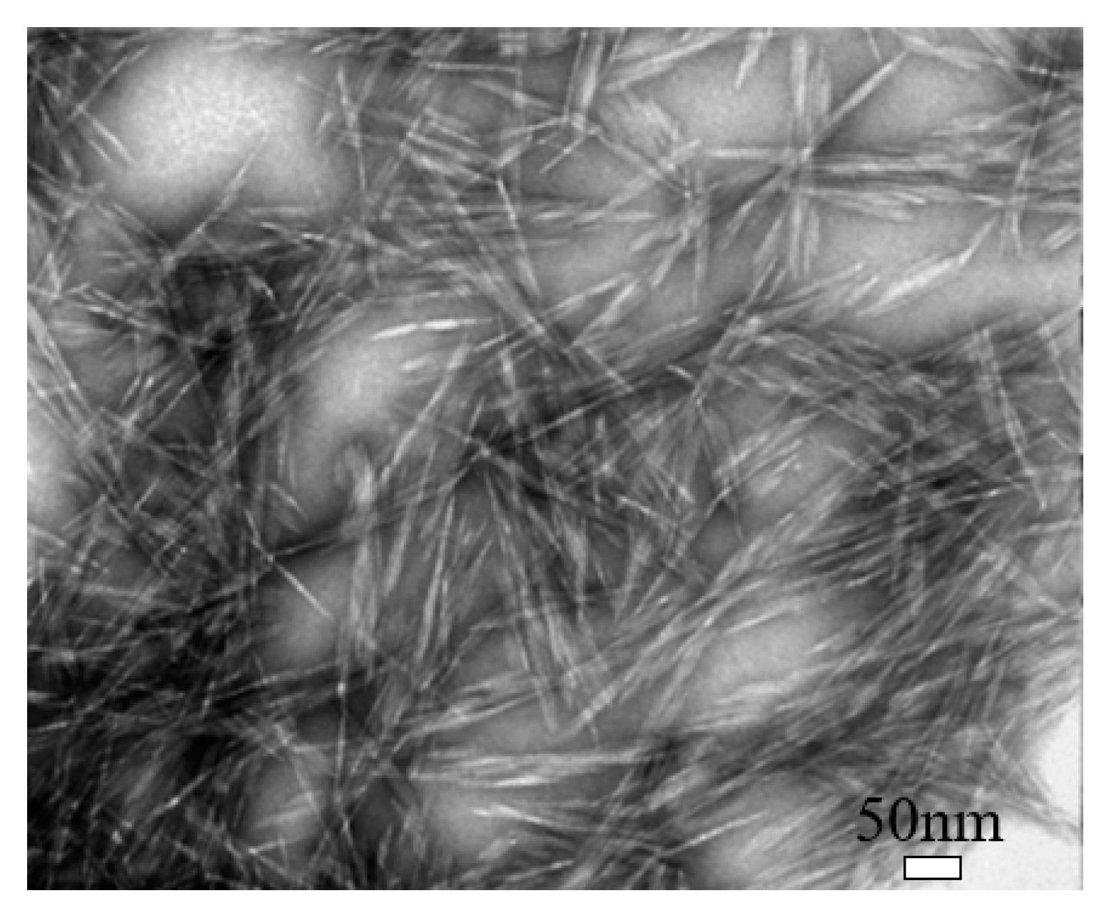 Nanomaterials 10 02476 g002