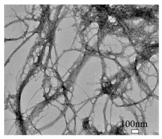 Nanomaterials 10 02476 g003 550