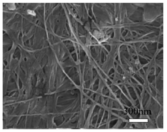 Nanomaterials 10 02476 g004 550