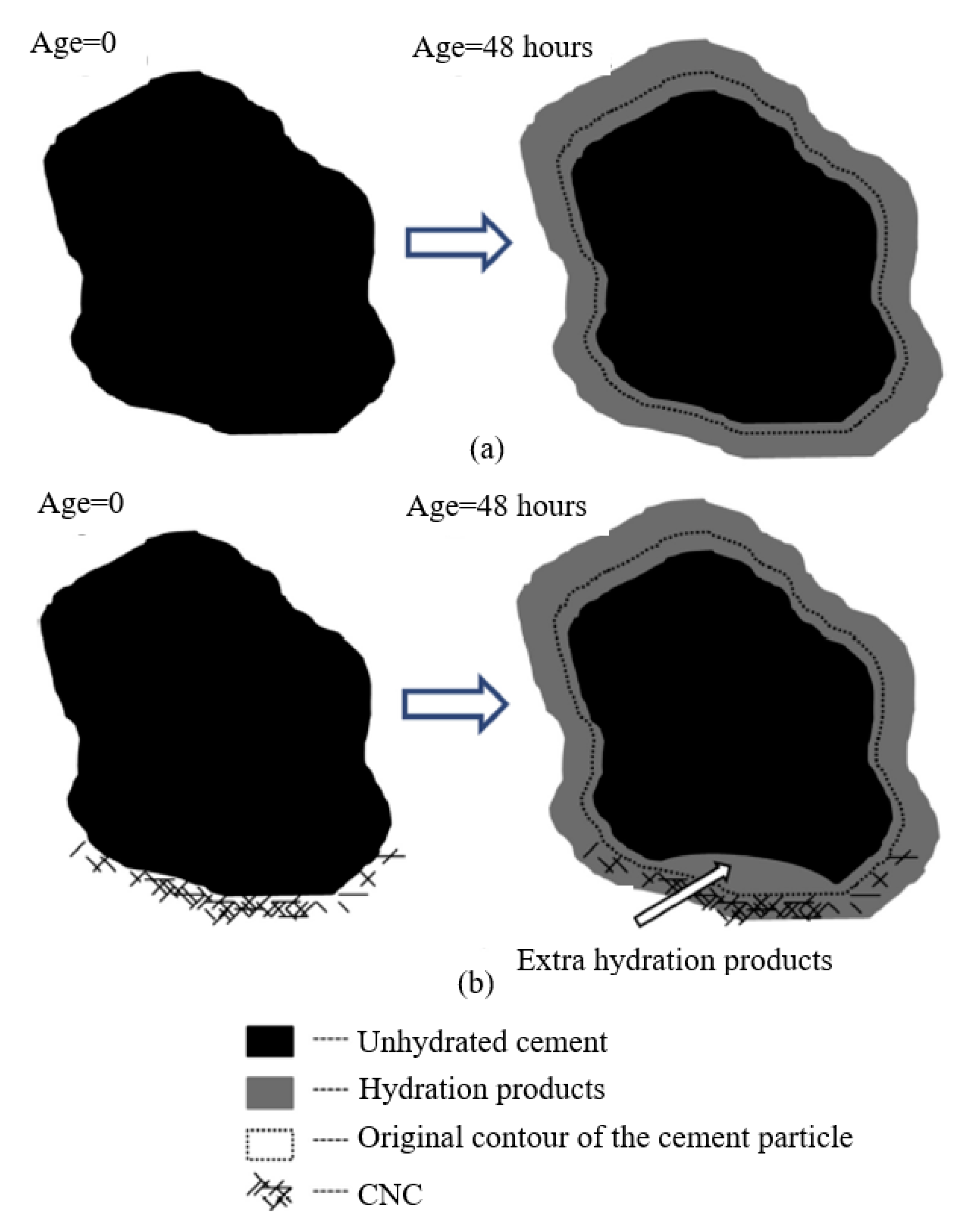 Nanomaterials 10 02476 g006