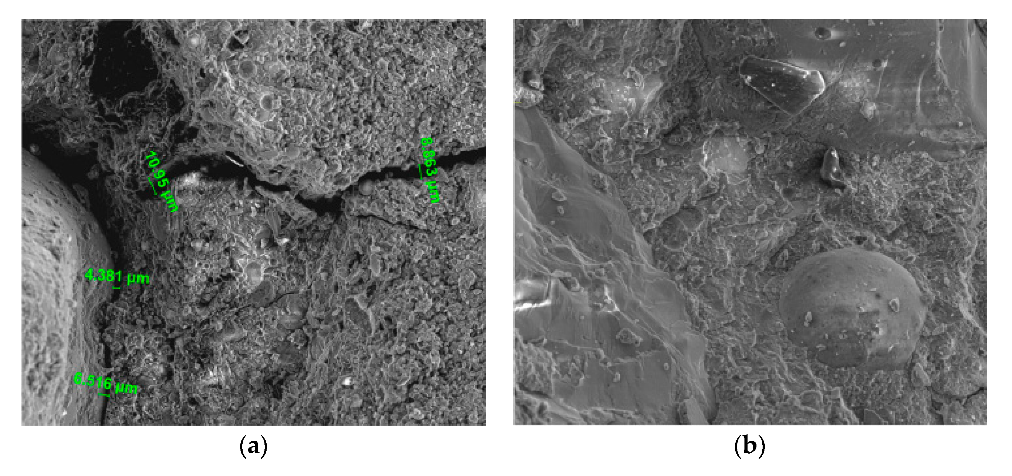 Nanomaterials 10 02476 g007