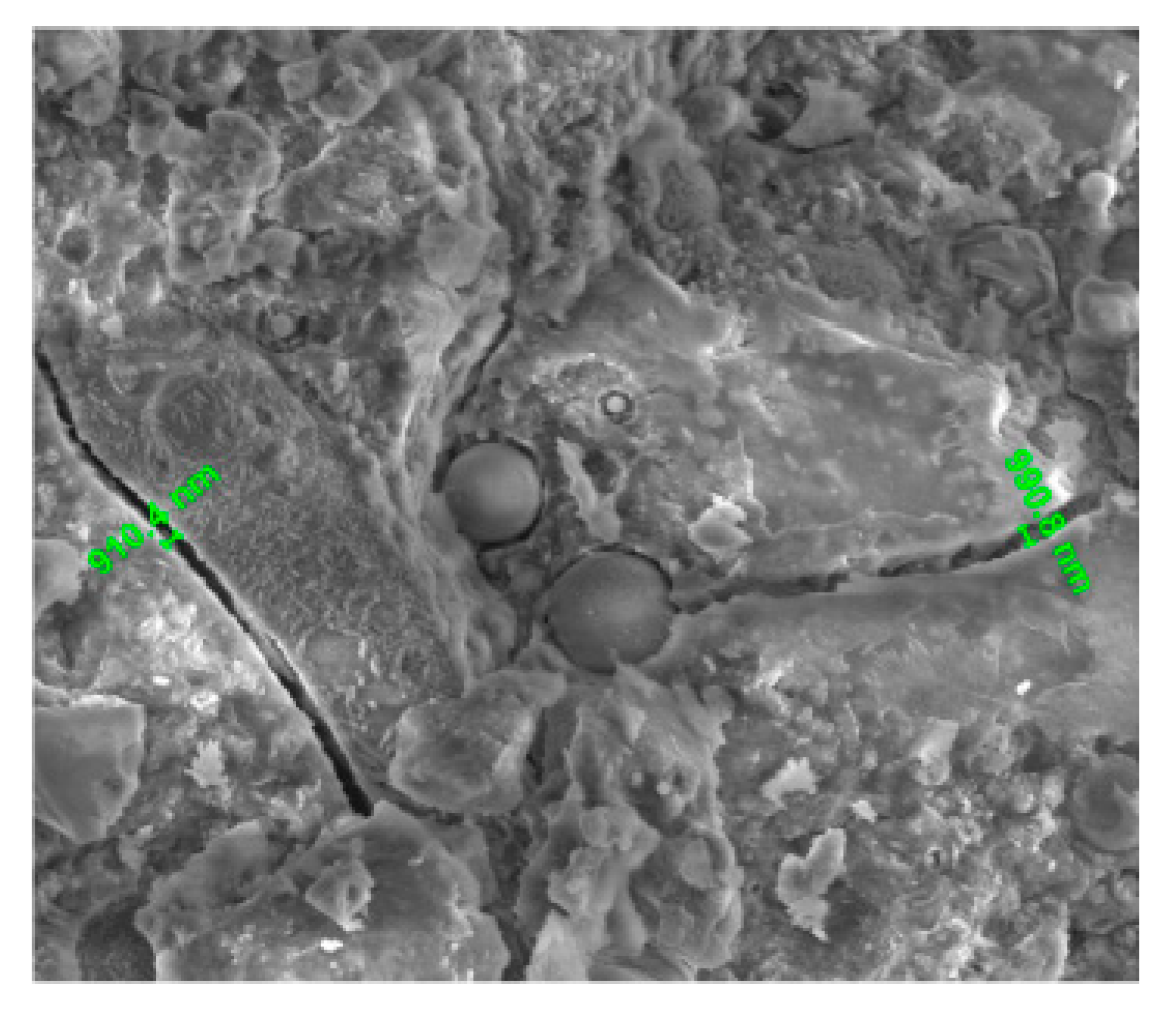 Nanomaterials 10 02476 g008