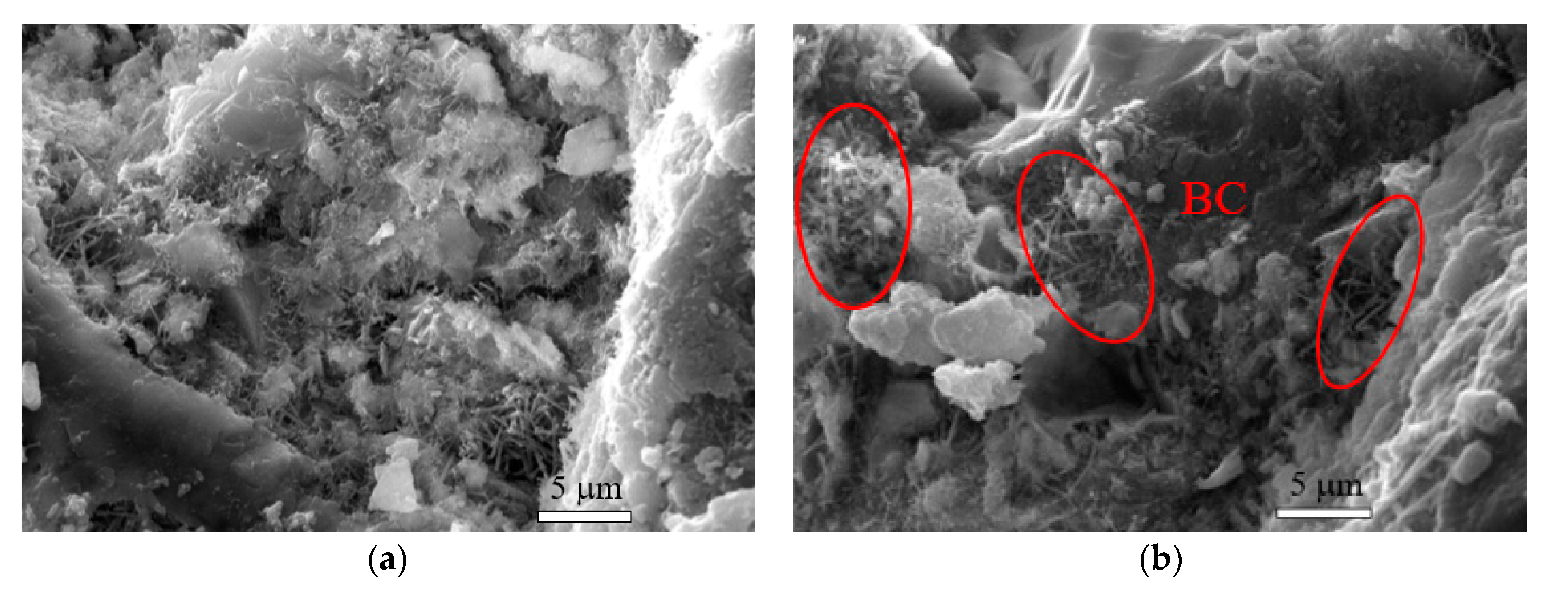 Nanomaterials 10 02476 g009a