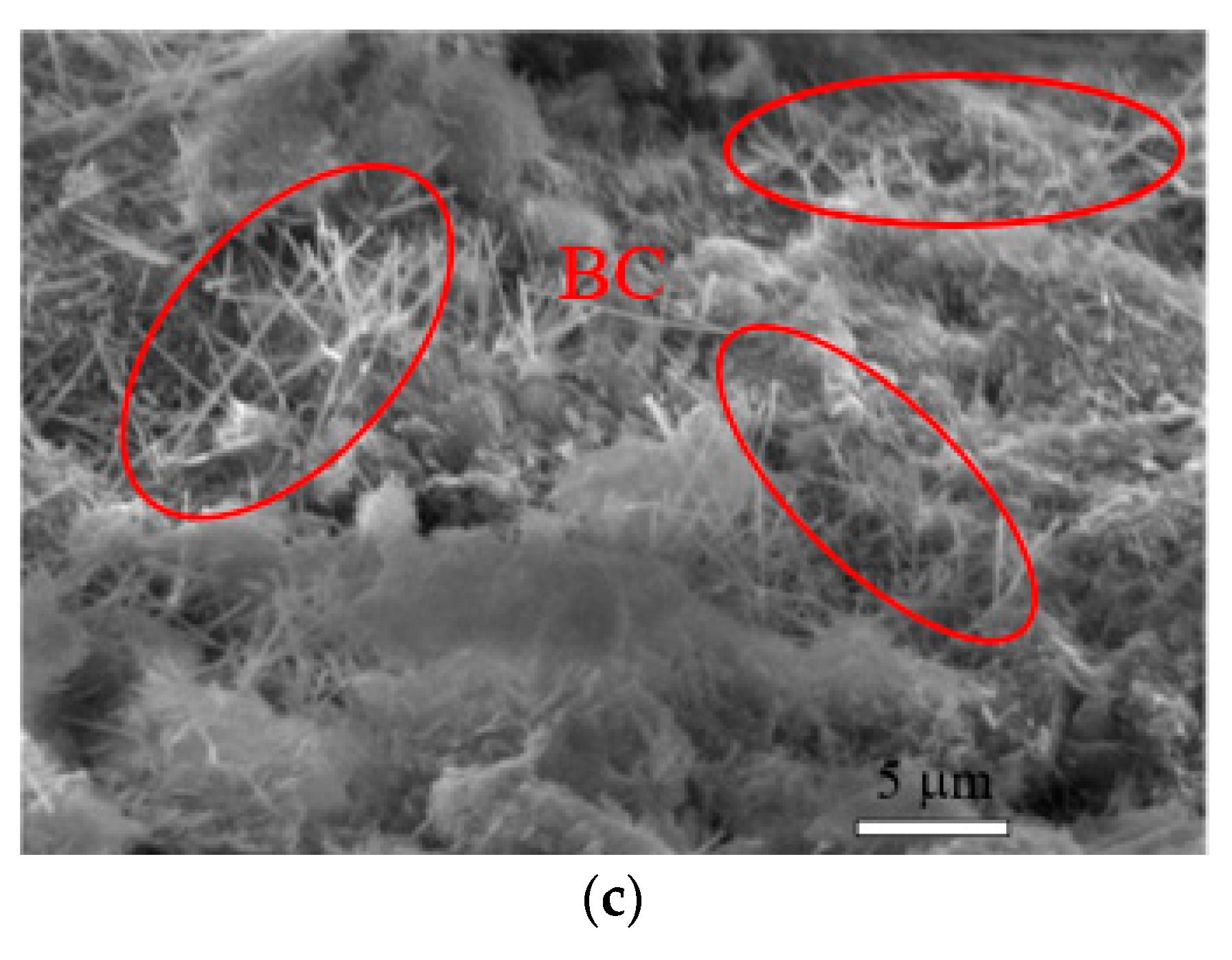 Nanomaterials 10 02476 g009b