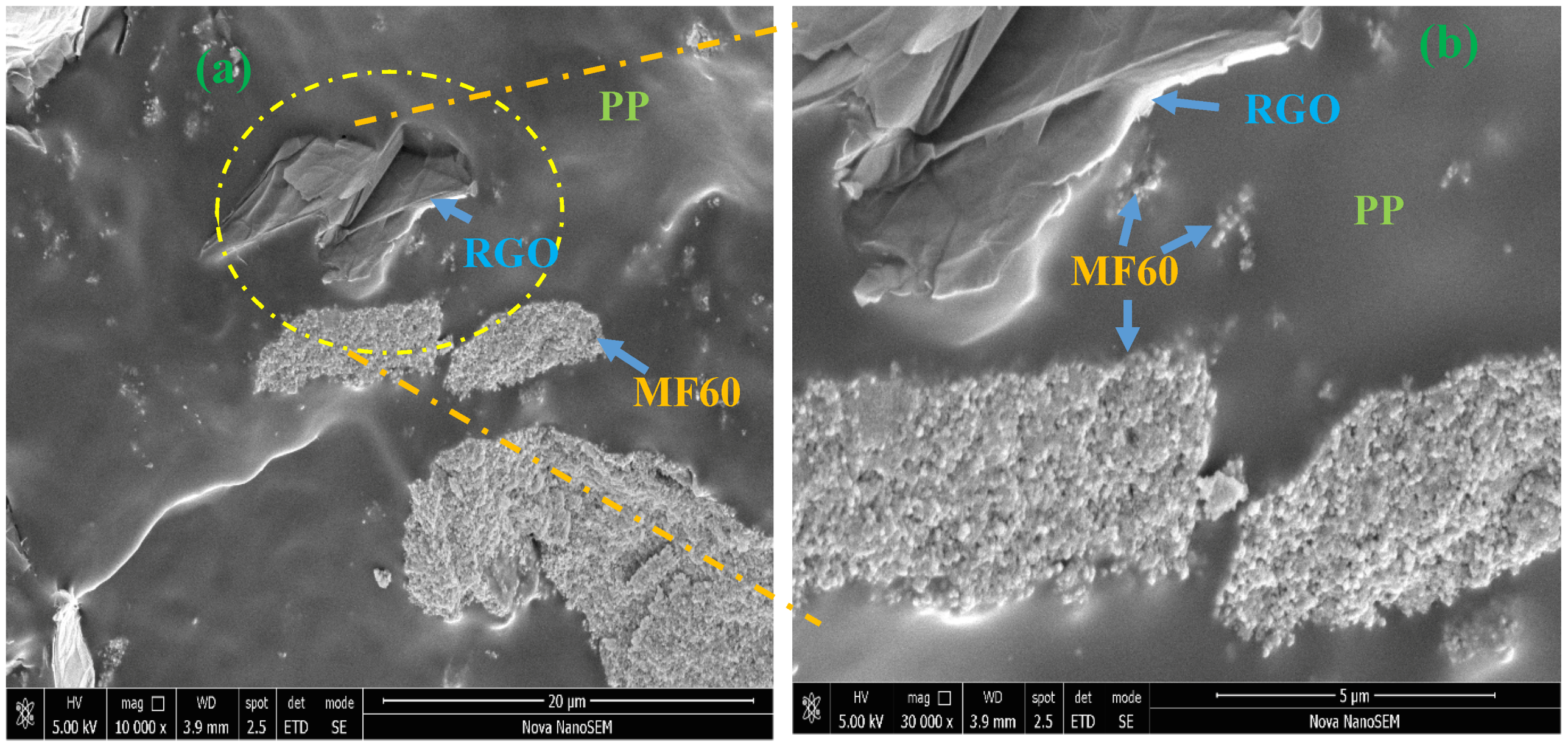 Nanomaterials 10 02481 g005a