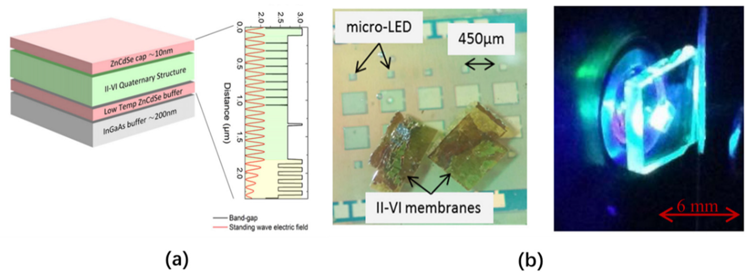 Nanomaterials 10 02482 g014