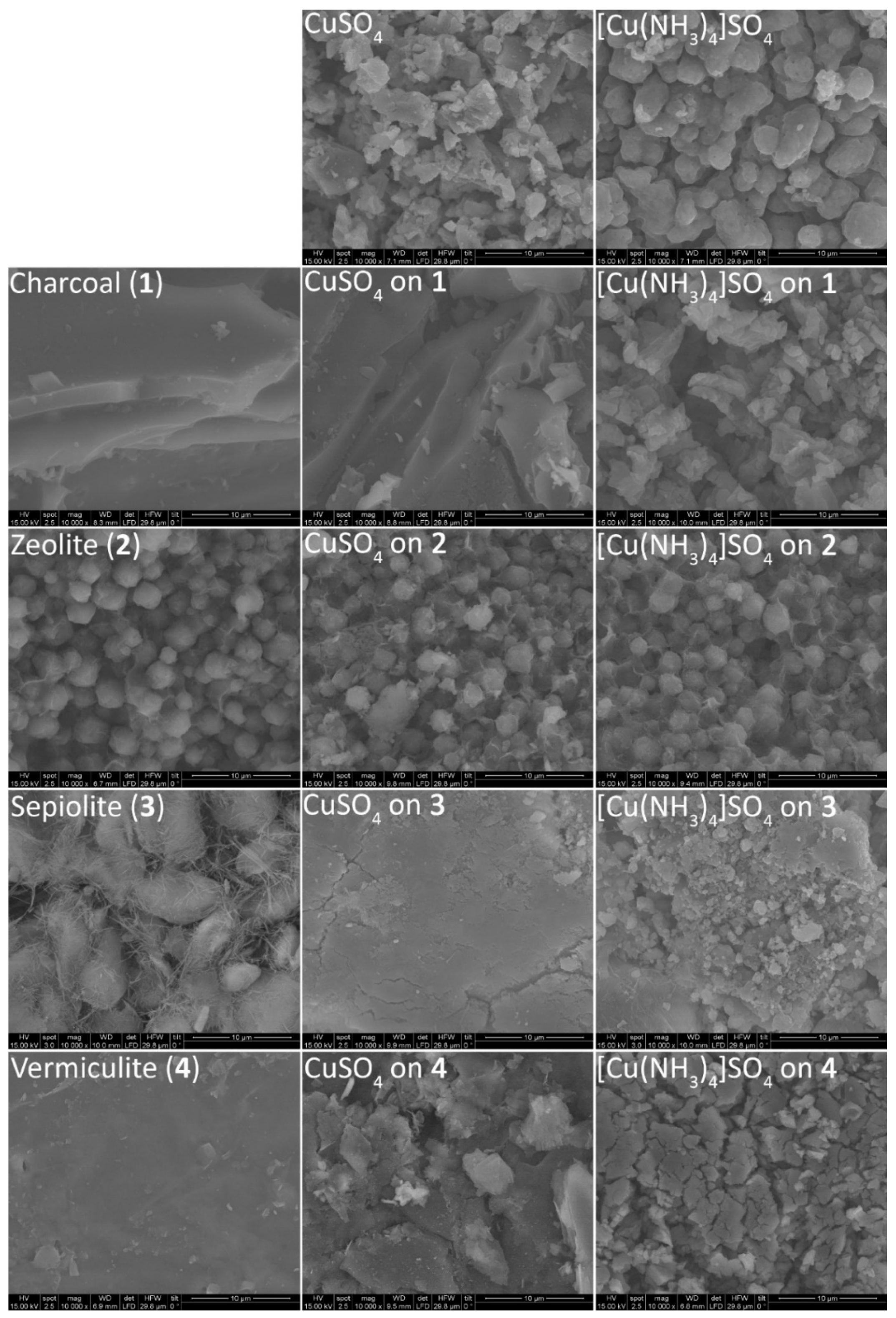Nanomaterials 10 02485 g007