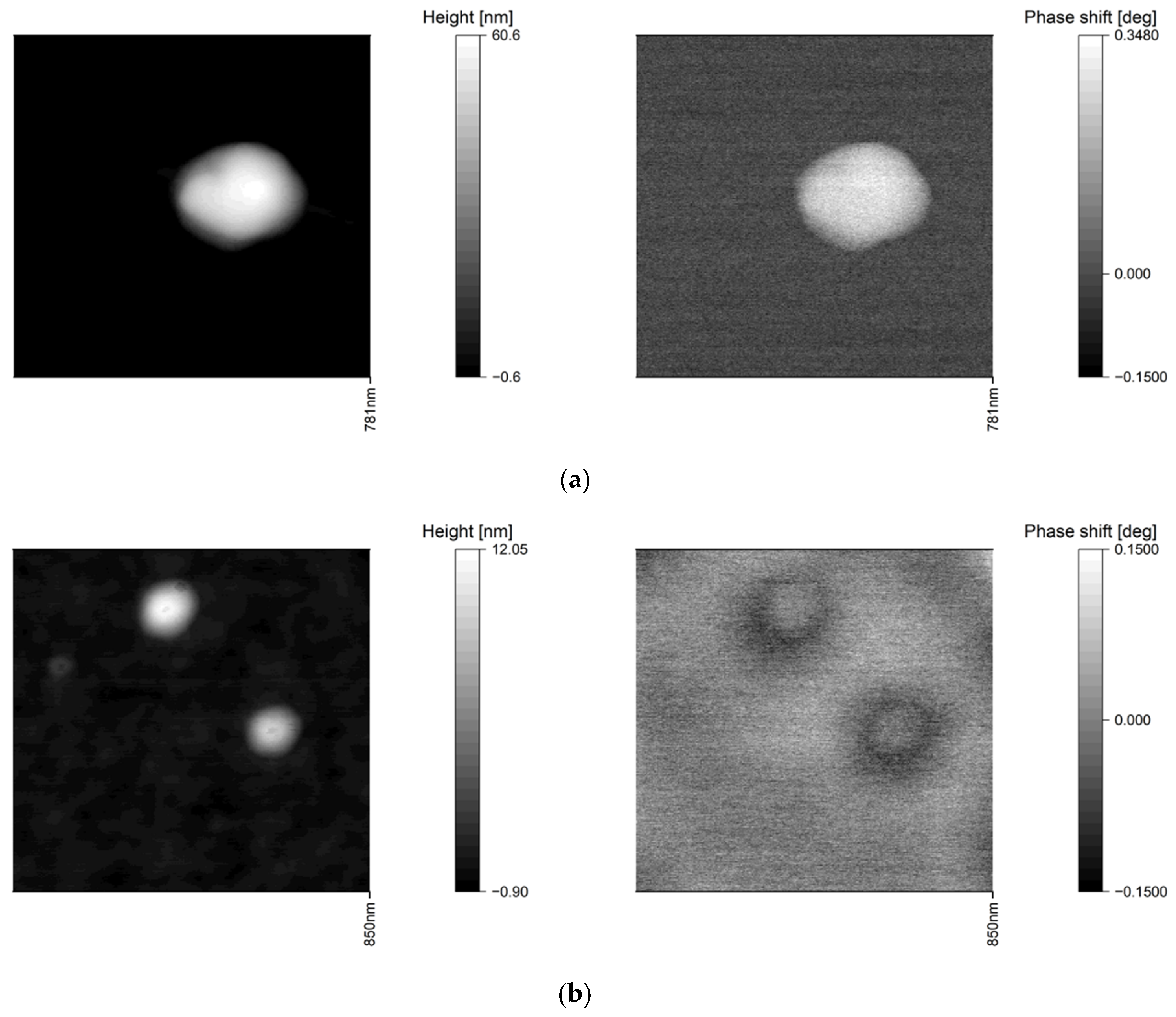 Nanomaterials 10 02486 g002