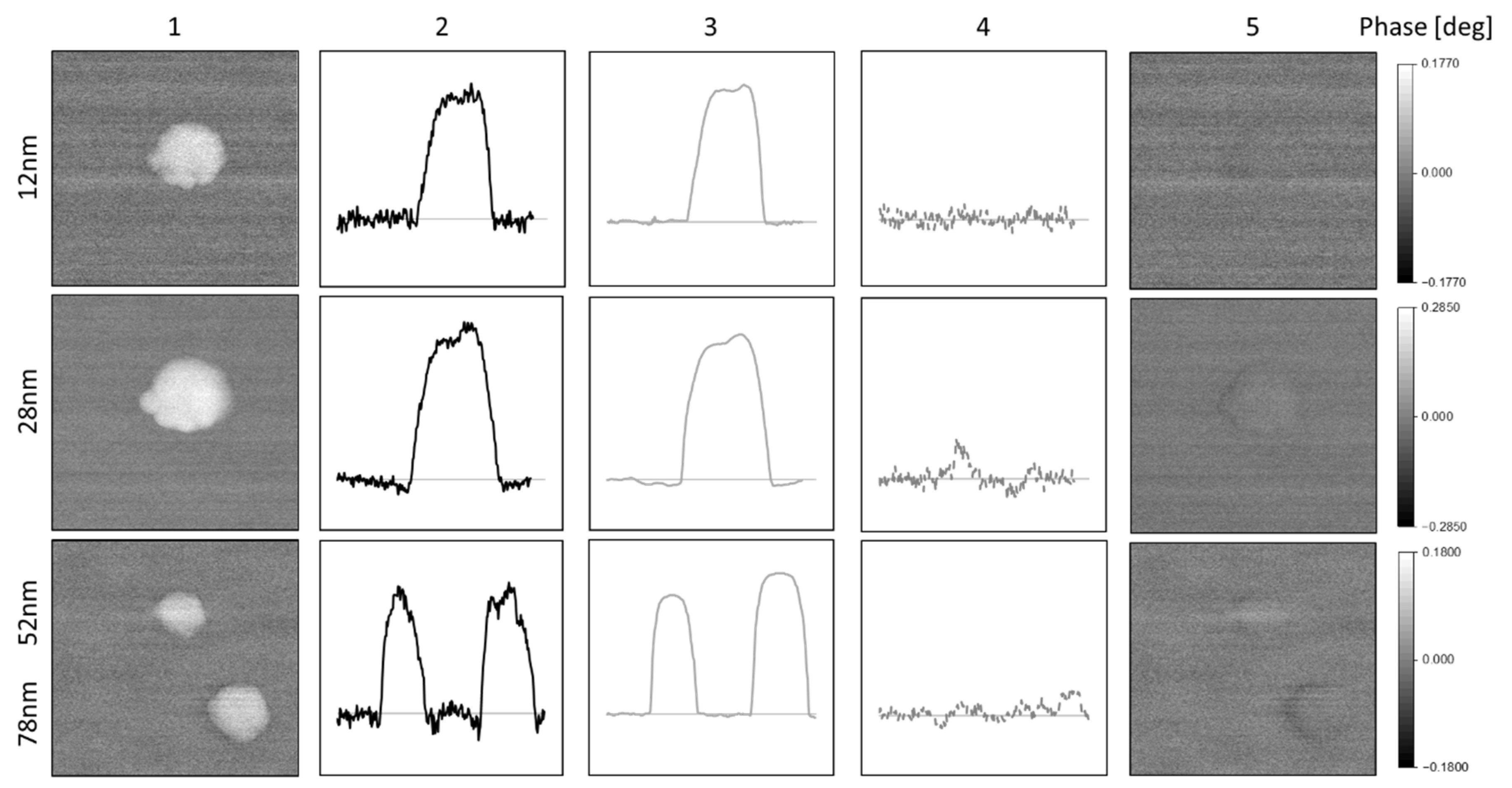 Nanomaterials 10 02486 g005