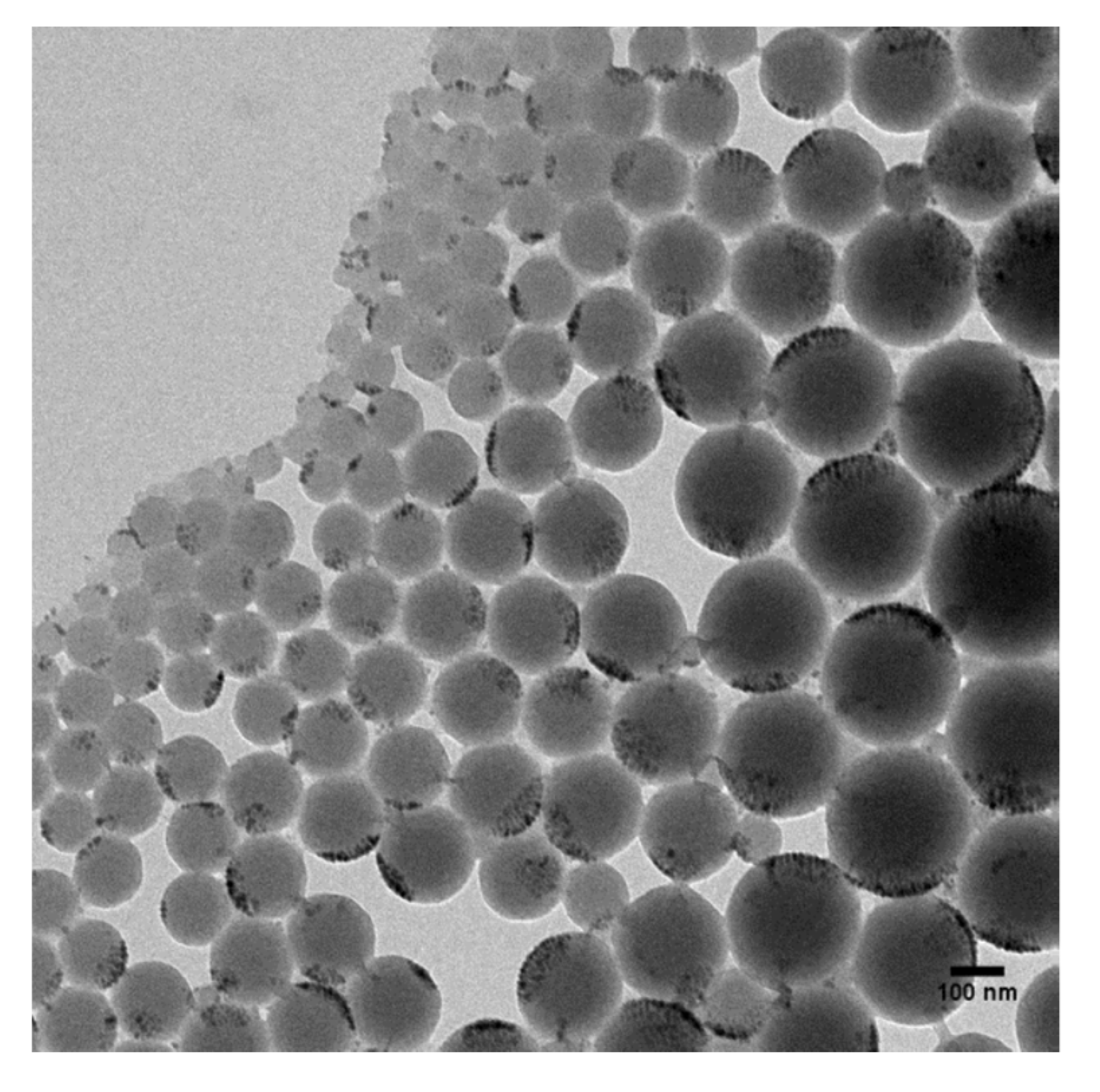 Nanomaterials 10 02486 g007