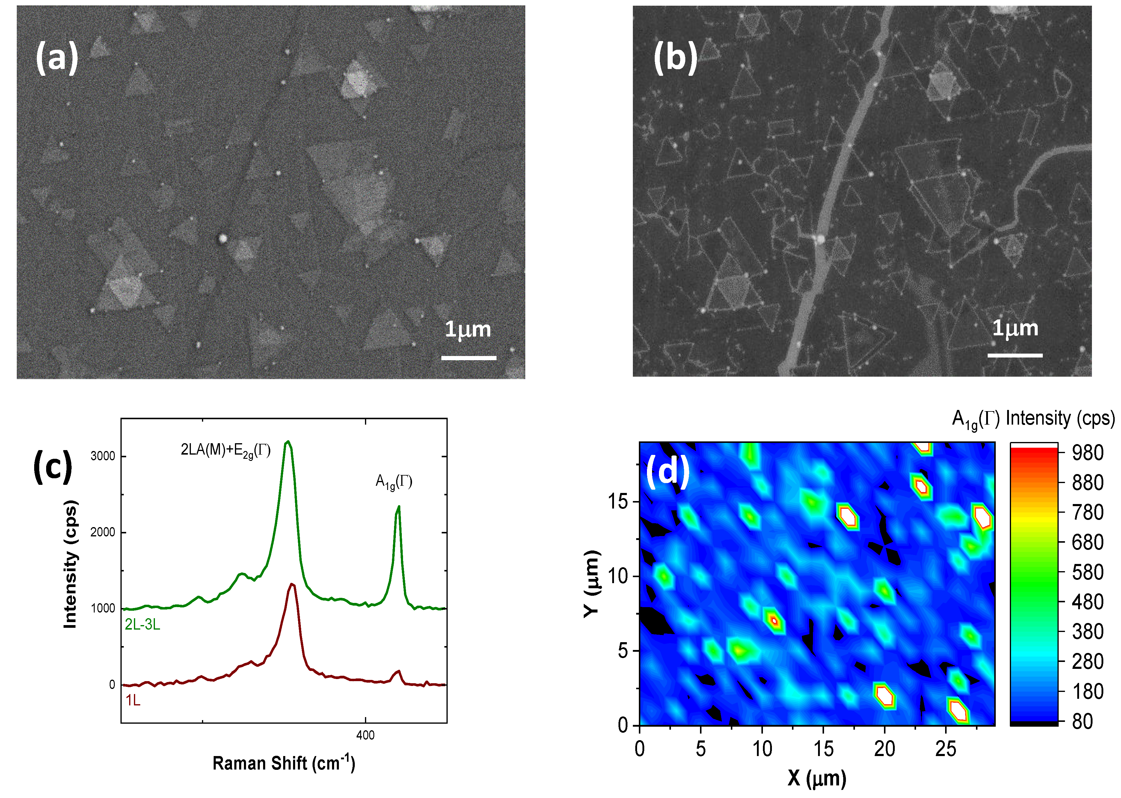 Nanomaterials 10 02494 g001