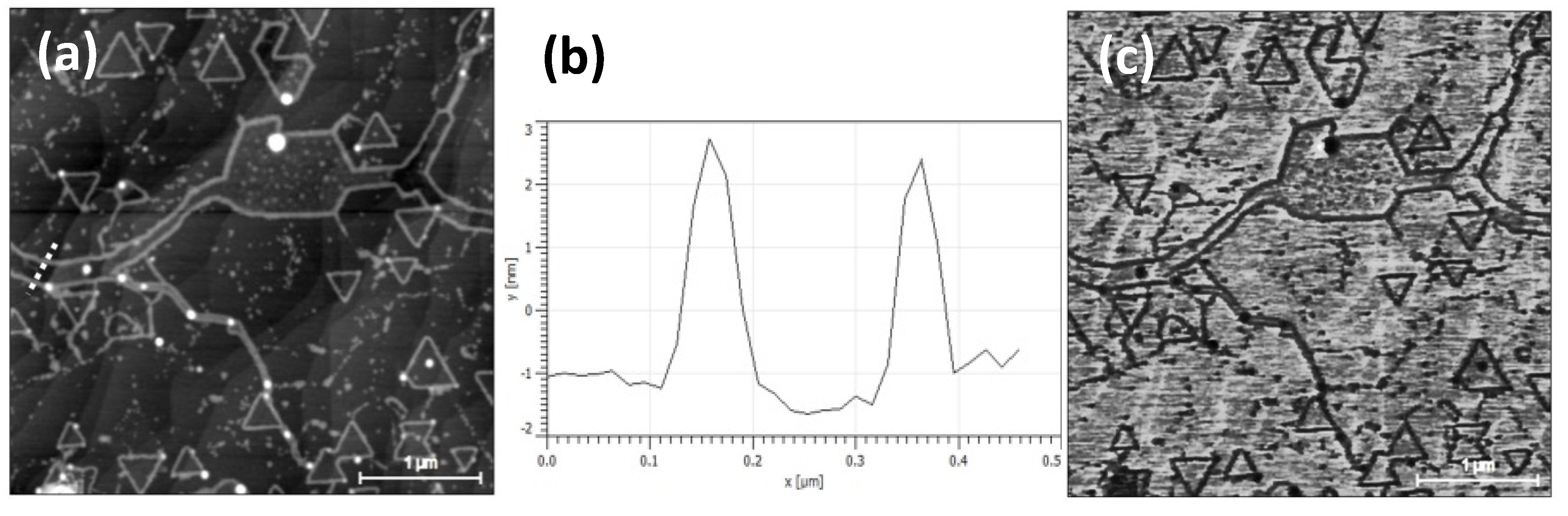 Nanomaterials 10 02494 g002